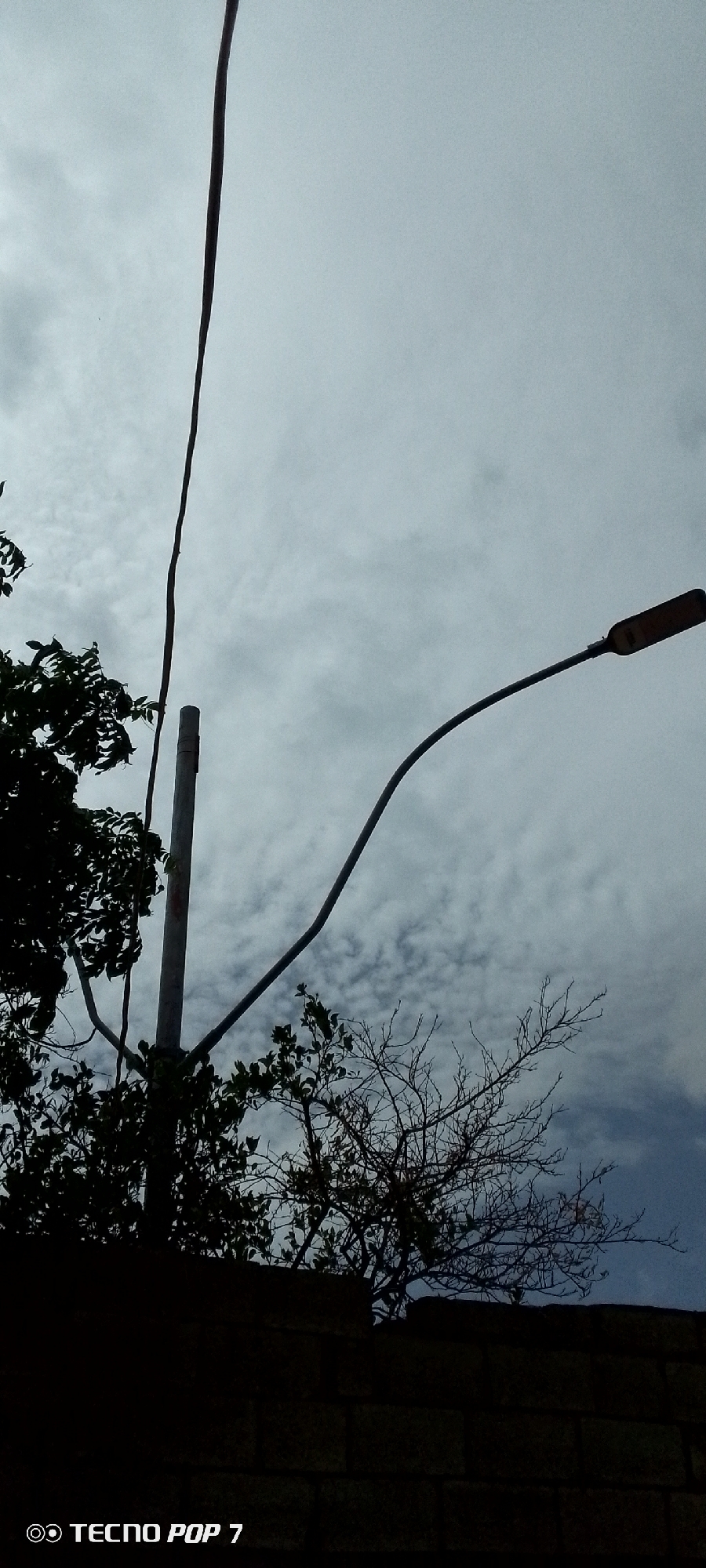 The image shows a view of the sky with a streetlamp and some trees, viewed from Altagracia, Venezuela. The sky is overcast with a light gray cloud cover. A thin black electrical wire runs vertically from the top left of the frame downwards. To the left, a grey utility pole stands tall, with dark green foliage of a tree partially obscuring it. To the right, a streetlamp extends from a curved pole, its fixture facing upwards and to the right. The foreground is dominated by a dark, silhouetted brick wall. Bare branches of a tree are visible above the wall, interspersed with some green leaves. The lower left corner of the image displays the text "TECNO POP 7" with two circular icons to its left, indicating it is a watermarked image from a Tecno Pop 7 phone. The overall lighting suggests an overcast day, possibly late afternoon or early morning.