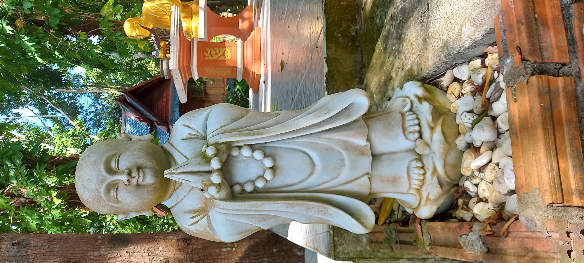 The image displays a serene, white marble-like statue of a young Buddhist monk, possibly a novice, standing upright in an outdoor setting. The monk's hands are clasped together at chest level in a prayer or greeting gesture (Anjali Mudra), holding a string of prayer beads. Its face expresses tranquility, with eyes gently closed or cast downwards.
The base of the statue is surrounded by numerous small white pebbles and a few fallen, dried leaves. To the right of the statue, there is a border made of reddish-brown terracotta-like tiles or bricks, showing some signs of age and moss. A rough concrete or stone surface is visible behind this border.
In the background, lush green foliage and trees indicate a vibrant natural environment, suggesting a tropical or garden setting. The bright sunlight suggests a clear, sunny day. Partially visible behind the monk statue, further to the left, are elements of temple architecture: a glimpse of a golden statue or ornament, and an ornate, reddish-orange pedestal with golden decorative accents. A small building with a dark red roof and walls featuring blue or white patterned tiles can also be seen through the foliage, contributing to the sense of a temple or sacred space in Moo 7, Thailand. There is no visible text in the image.