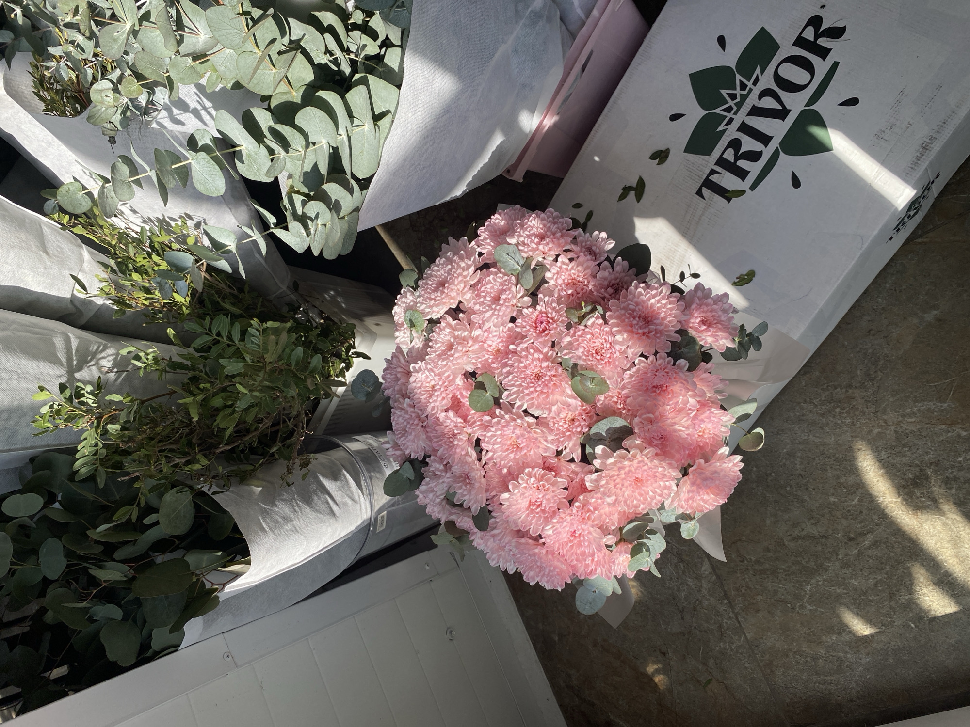 The image depicts an assortment of flowers and greenery arranged in what appears to be a florist's preparation area. Predominantly, there's a large bouquet of light pink chrysanthemums, centered in the frame. Adjacent to the chrysanthemums, there are bundles of eucalyptus and other green foliage wrapped in white paper. A white box with the word "TRIVOR" printed on its side is also visible. The location appears to be indoors, with natural light streaming in, casting shadows on the floor. Given the brand name "TRIVOR" and the presence of eucalyptus, it is plausible that the location is related to flower trade, and it is unknown if it is located in the city of Yekaterinburg, Russia.