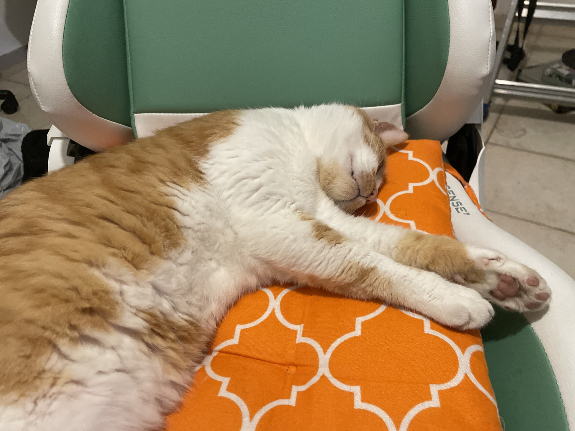 An orange and white cat is sleeping on an orange pillow with a white geometric pattern. The cat is stretched out on its side with its paws extended. The pillow is on top of a green and white chair. The background is blurry and shows what appears to be a desk and some equipment. The scene is indoors. There is no information about the location in Neoi Epivates, Greece.