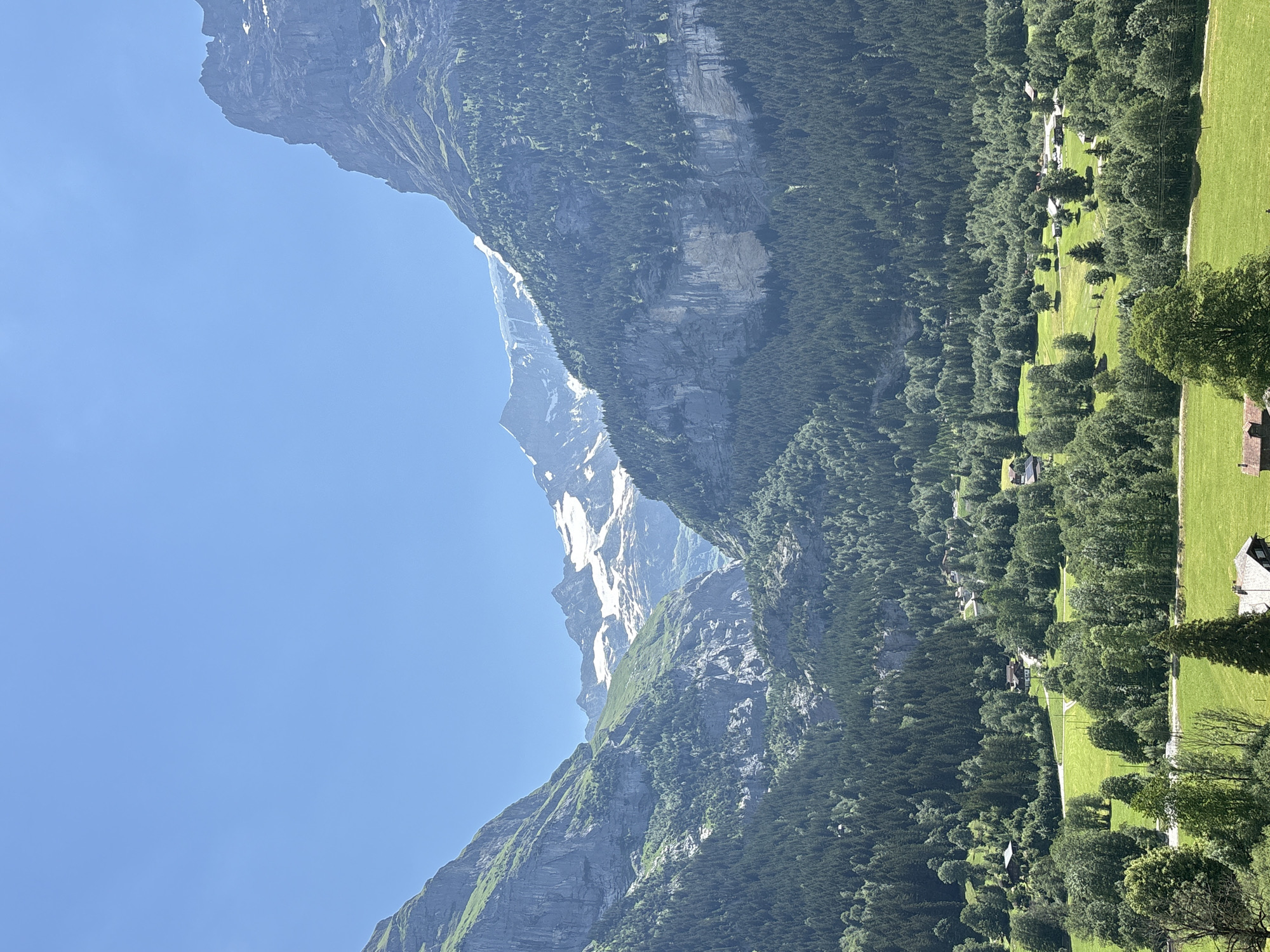 This is a landscape photograph of a mountain valley in Grindelwald, Switzerland. The image is taken on a clear, sunny day, with a bright blue sky filling the upper portion of the frame.
The foreground consists of lush green meadows dotted with scattered trees and several traditional Swiss chalets with dark wooden roofs. Winding paths and roads are visible through the meadows, connecting the scattered buildings.
The middle ground is dominated by a dense, dark green coniferous forest that covers the slopes of the valley. The trees are tightly packed, creating a deep, textured carpet of foliage.
In the background, towering, rugged mountain peaks rise dramatically. These mountains are characterized by steep, rocky faces, with patches of snow still visible near their summits, indicating their high altitude. The light and shadow play across the mountain surfaces, highlighting their craggy textures and immense scale.
The overall impression is one of natural beauty and tranquility, showcasing the picturesque scenery of the Swiss Alps. No people are visible in the image.