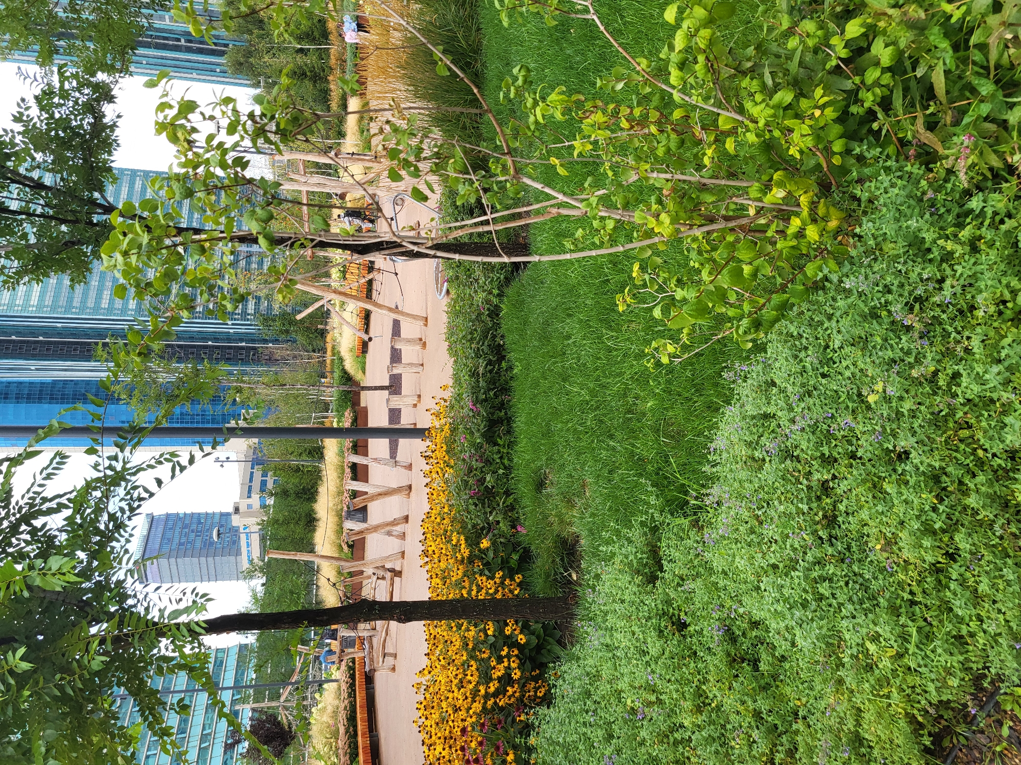 The image depicts a park area in Astana, Kazakhstan, with modern skyscrapers visible in the background. In the foreground, there is lush green grass and a variety of plants, including a bed of bright yellow flowers and a smaller bush with green leaves. A dark tree trunk stands prominently in the center of the image, with its branches and leaves partially obscuring the view of the background. Further back, there is a playground-like structure made of wooden beams and ropes, and several benches. A few people are visible in the middle ground, casually walking or standing. The overall impression is a blend of natural elements and urban infrastructure, suggesting a well-maintained public space within a contemporary city.