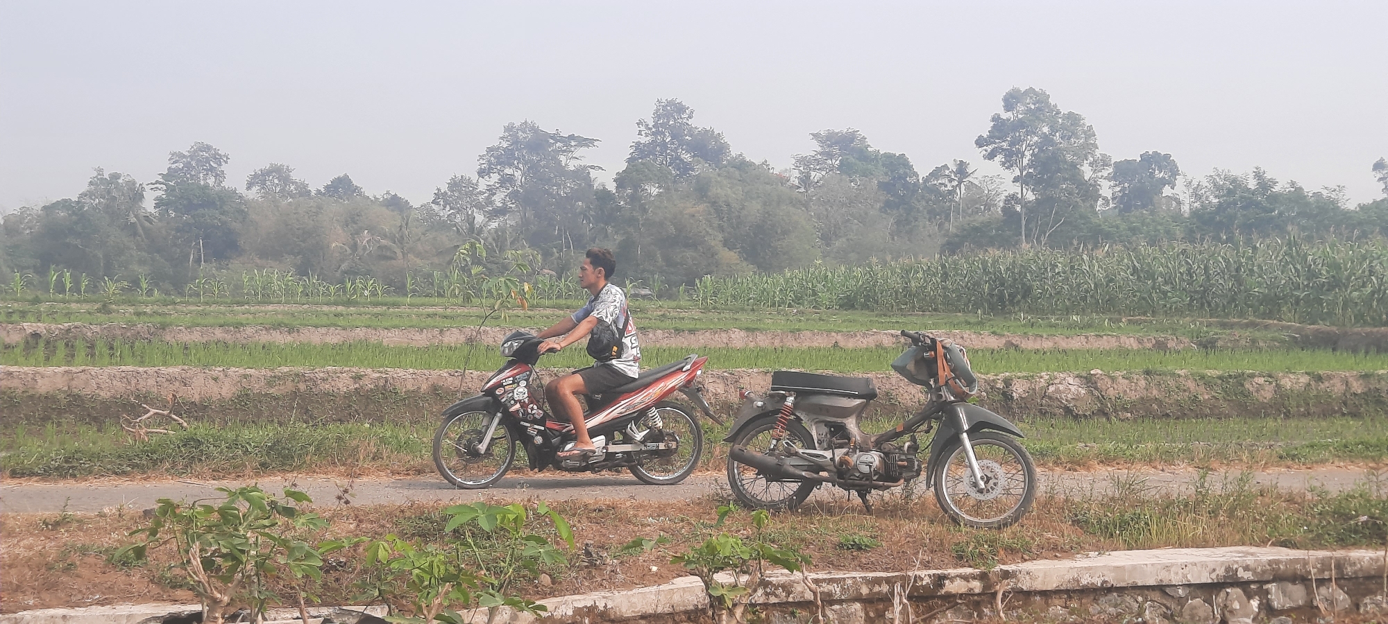The image depicts a rural scene in Ploso, Indonesia. In the foreground, a young man is riding a red and black motorcycle on a paved road. He is wearing a patterned t-shirt and shorts, and has a dark bag slung across his chest. To the right of the road, another motorcycle, dark gray, is parked. The background features tiered agricultural fields, with rows of green crops, likely rice paddies, and taller corn stalks. Beyond the fields, a dense line of trees forms the horizon, under a hazy sky. The overall atmosphere suggests a warm, possibly humid day in an agrarian landscape.