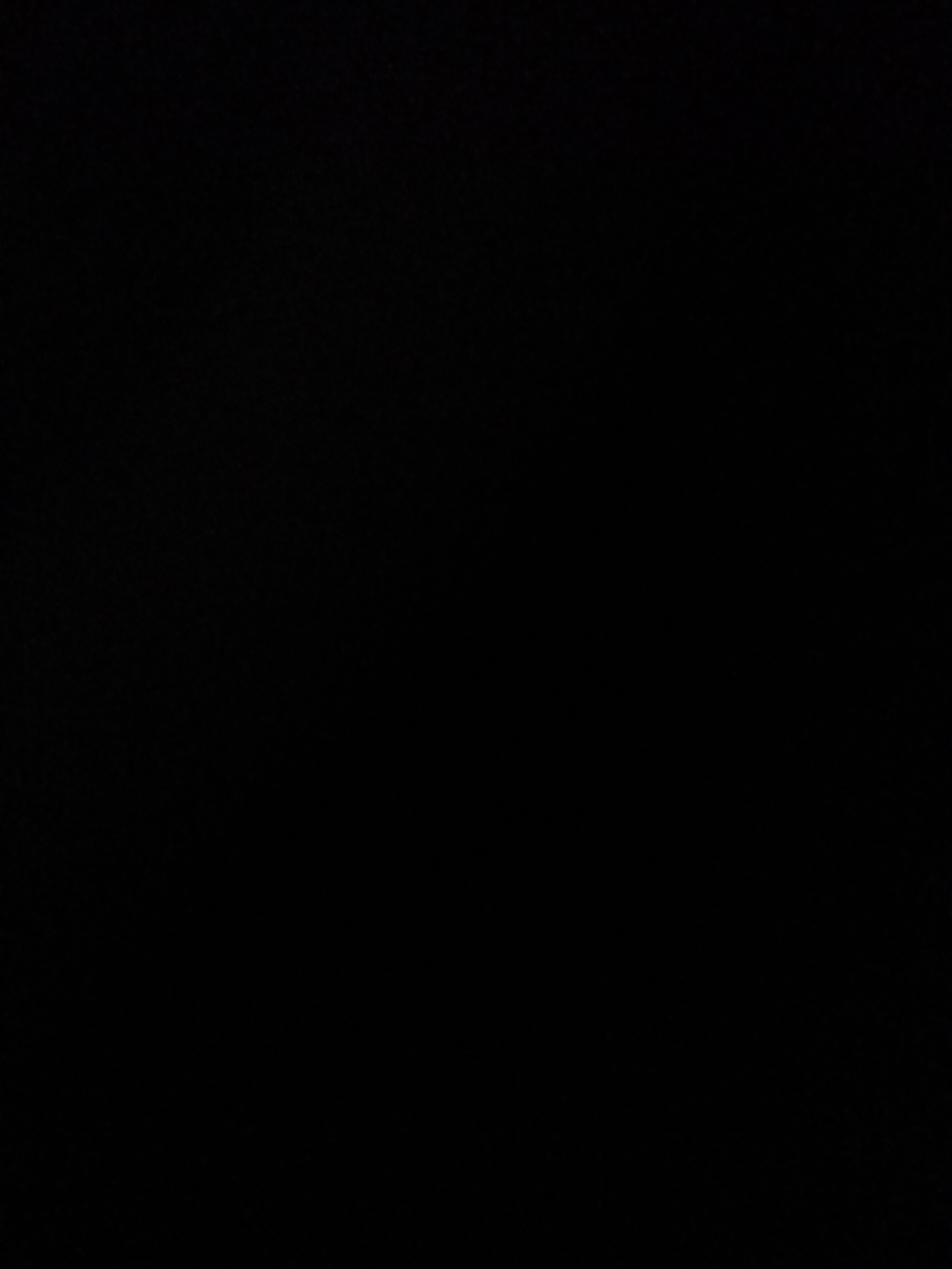 The image is entirely black, suggesting it might be a corrupted file, a placeholder for an image that failed to load, or intentionally obscured. Without any discernible visual content, it's impossible to describe subjects, activities, or notable details like time of day, weather, location, or emotions. There is no visible text. Given the context of Rostov-on-Don, Russia, if this were intended to be an image of that location, it is failing to display any relevant information.