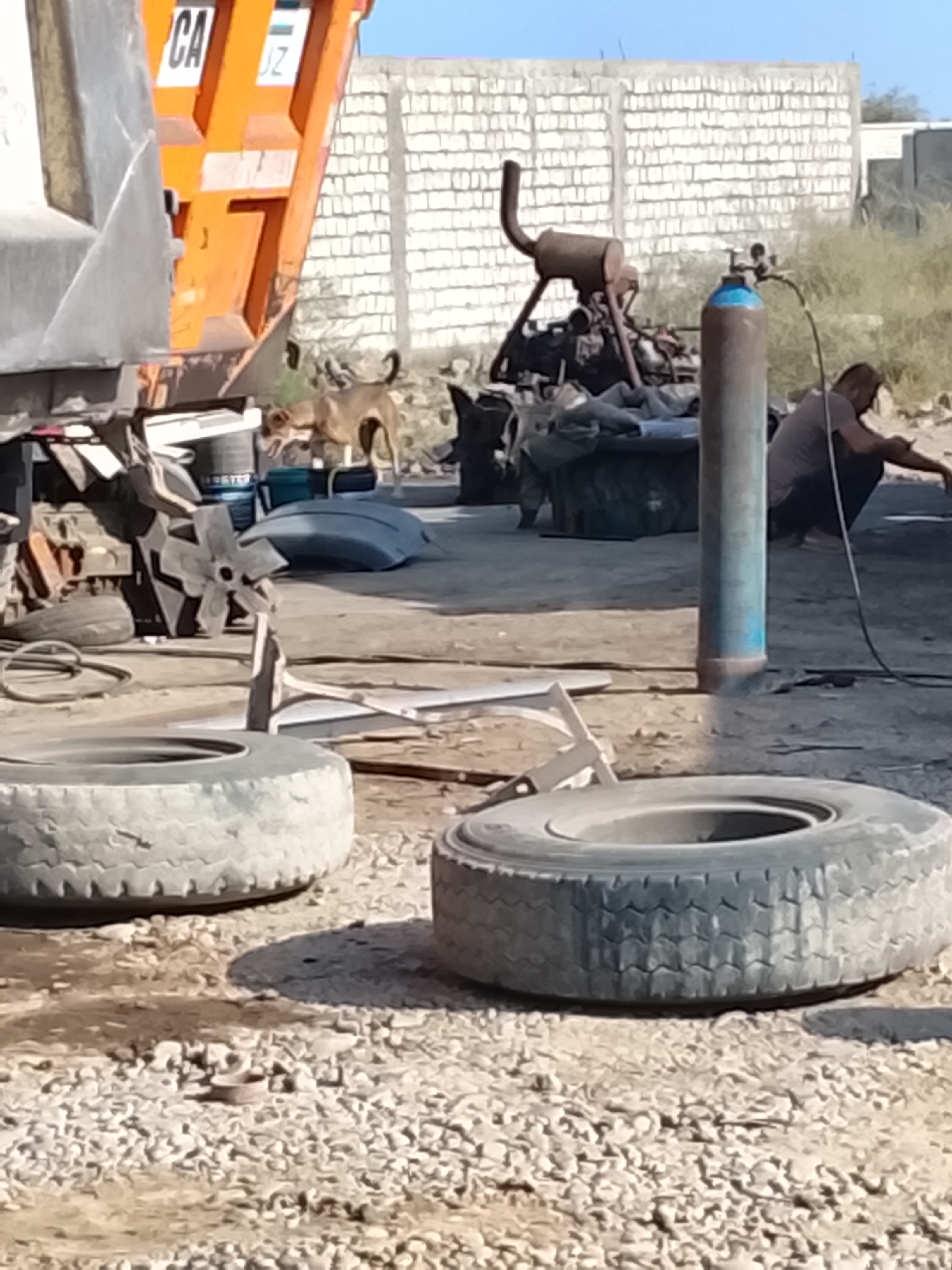 In the city of Sabir Rakhimov, Uzbekistan, a man crouches near a gas cylinder and what appears to be welding equipment. His posture suggests he is actively engaged in a task. Nearby, a dog with a tan coat stands alert. In the foreground, two large tires rest on a gravelly surface. A portion of an orange dump truck is visible on the left side of the image, with markings that read "CA" and "JZ". The background features a white brick wall and sparse vegetation, indicating an outdoor, possibly industrial or construction site. The overall lighting suggests a daytime scene.