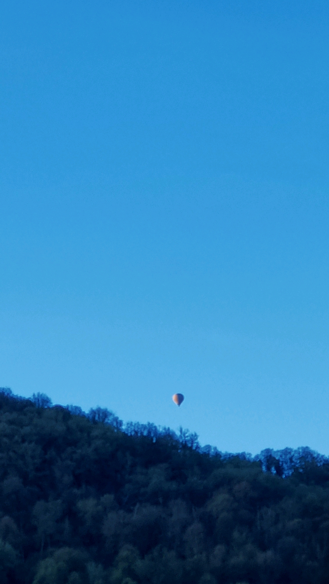 A lone hot air balloon is visible in a clear blue sky above a dark, tree-covered mountainside. The balloon appears to be orange and yellow. The trees on the mountainside are dense and dark, with some bare branches visible at the top of the incline. The scene suggests a tranquil, possibly early morning or late afternoon setting. This location is consistent with the mountainous terrain found in and around Sant Joan Les Fonts, Spain.