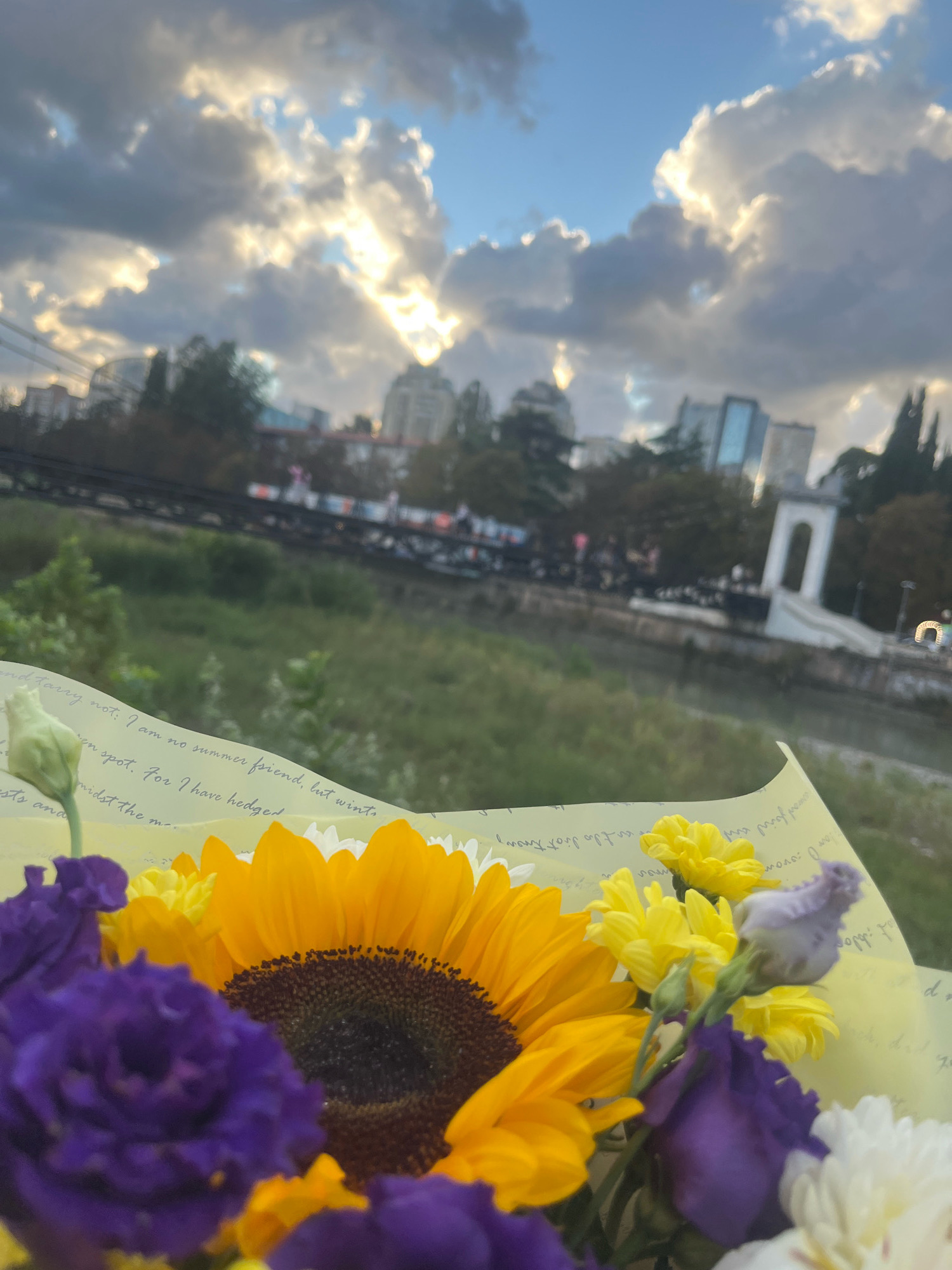A close-up shot of a bouquet of flowers, including a sunflower, purple roses, and yellow chrysanthemums, is positioned in the foreground. The flowers are set against a backdrop of a river and a city skyline under a dramatic cloudy sky. The city skyline features modern buildings and trees, with a notable white arched structure to the right. A train is visible on an elevated track crossing the river. The image appears to have been taken in Sochi, Russia, likely near the Kurortny Prospekt area, given the architectural style of the buildings and the presence of the river and bridge. The lighting suggests it is either sunrise or sunset, with sunlight breaking through the clouds.