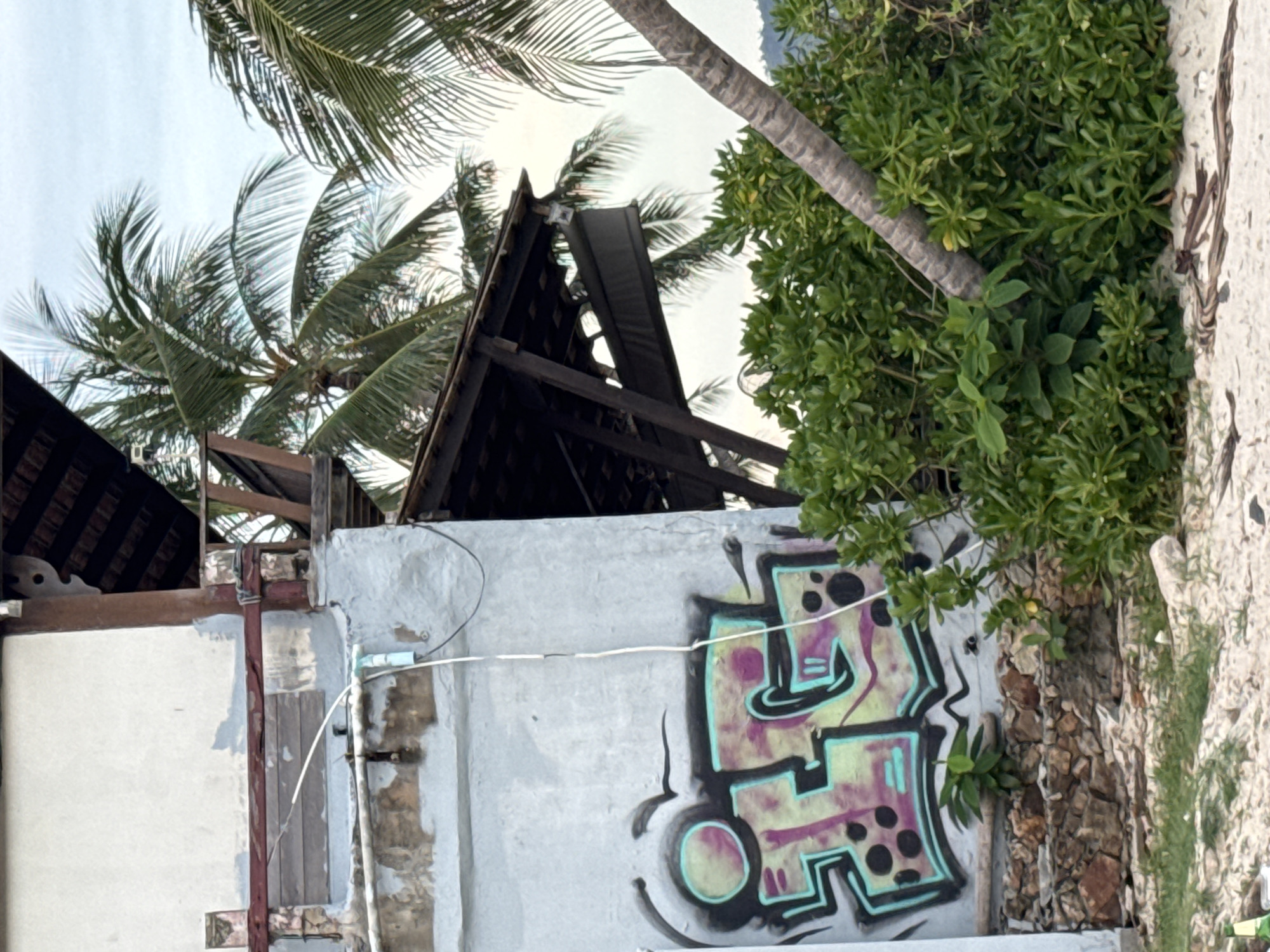 An outdoor shot shows the side of a building with graffiti, palm trees, and foliage in the foreground. The building is white with some weathered patches and a wooden overhang. The graffiti is colorful, with shades of purple, pink, and teal, and features black outlines and dots. A white electrical cord hangs down the side of the building, passing over the graffiti. Behind the building, palm trees with green fronds are visible against a pale sky. Lush green bushes and vegetation grow in front of the building and around a palm tree trunk that leans into the frame from the right. The ground in the foreground appears to be sand and sparse grass, with some dried leaves and debris scattered about. There are no people visible in the image.