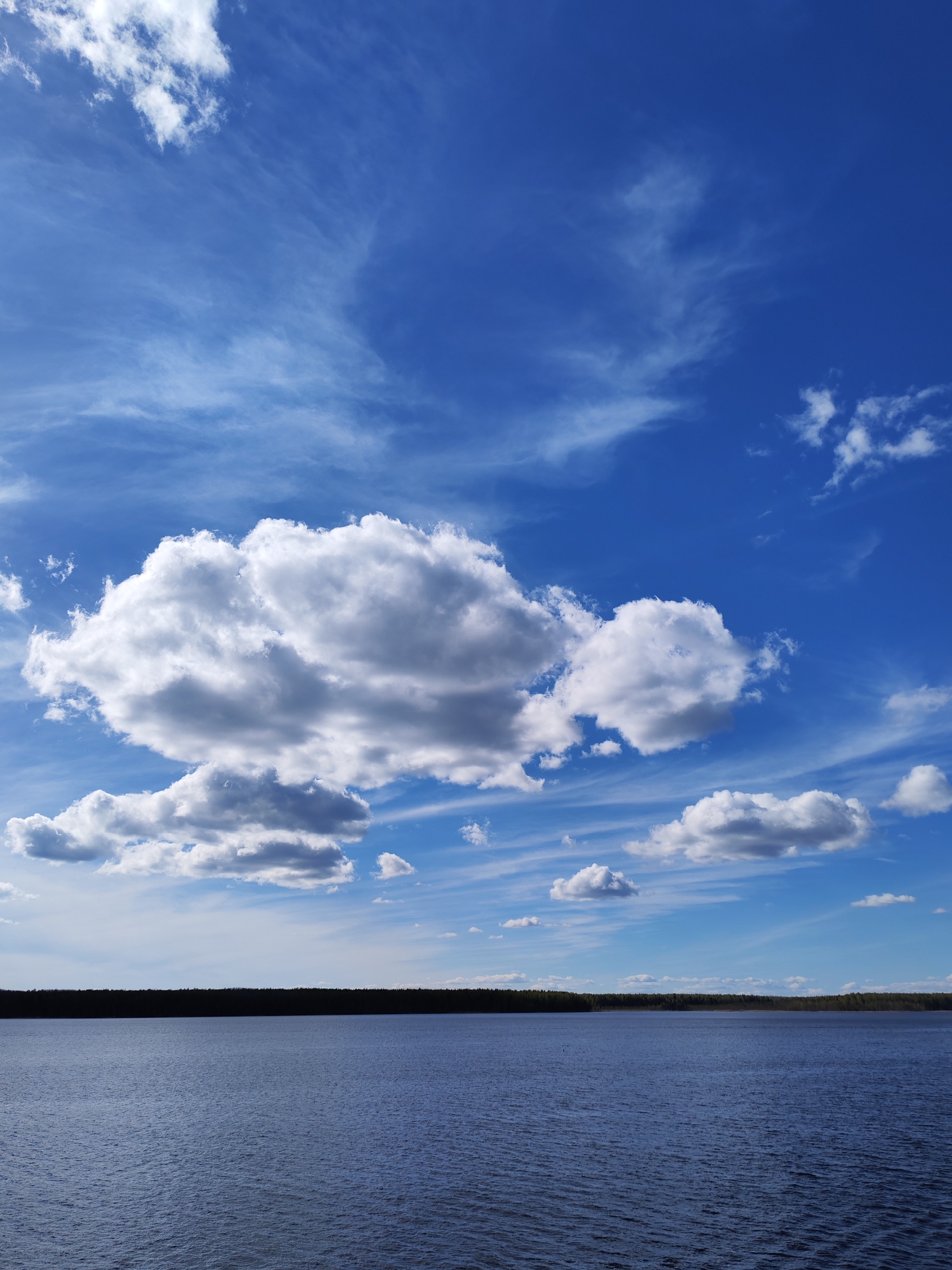The image depicts a serene lake scene under a bright blue sky with scattered cumulus clouds. The water's surface is slightly rippled, suggesting a gentle breeze. A dark, narrow strip of forest lines the horizon. The location, Topornya, Russia, is not directly identifiable in the image, so it must be considered extrinsic information. The focus is on the natural elements of water, sky, and vegetation, with no visible human presence or activities.
