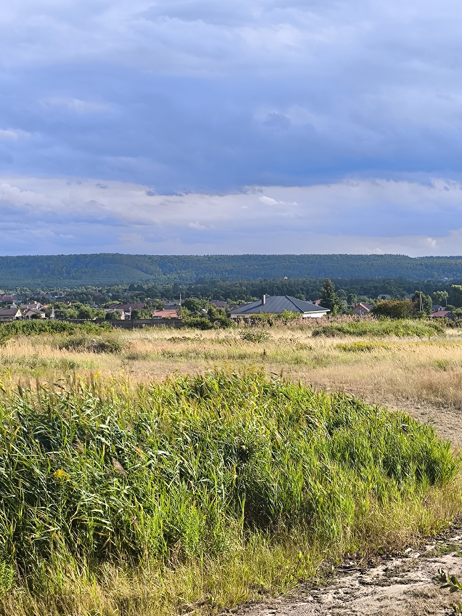 The image depicts a rural landscape on a cloudy day, likely in the city of Richky, Ukraine, given the context provided. In the foreground, tall, green and yellow grasses dominate, with some dry, shorter grasses and a dirt path visible to the right. Beyond the foreground vegetation, a mid-ground features a scattering of residential buildings with red-tiled roofs, interspersed with trees and some low walls. The buildings appear to be single-family homes. Further in the background, a dense line of trees forms a dark green band across the horizon, suggesting a forest or heavily wooded area. Above the trees, a line of hills or mountains is visible, their slopes covered in a similar dense green foliage. The sky is dramatic, filled with large, dark grey and blue clouds, with patches of lighter, white clouds suggesting broken sunlight or an approaching weather front. There are no people or animals visible in the image. The scene is a natural landscape with human habitation integrated into it.