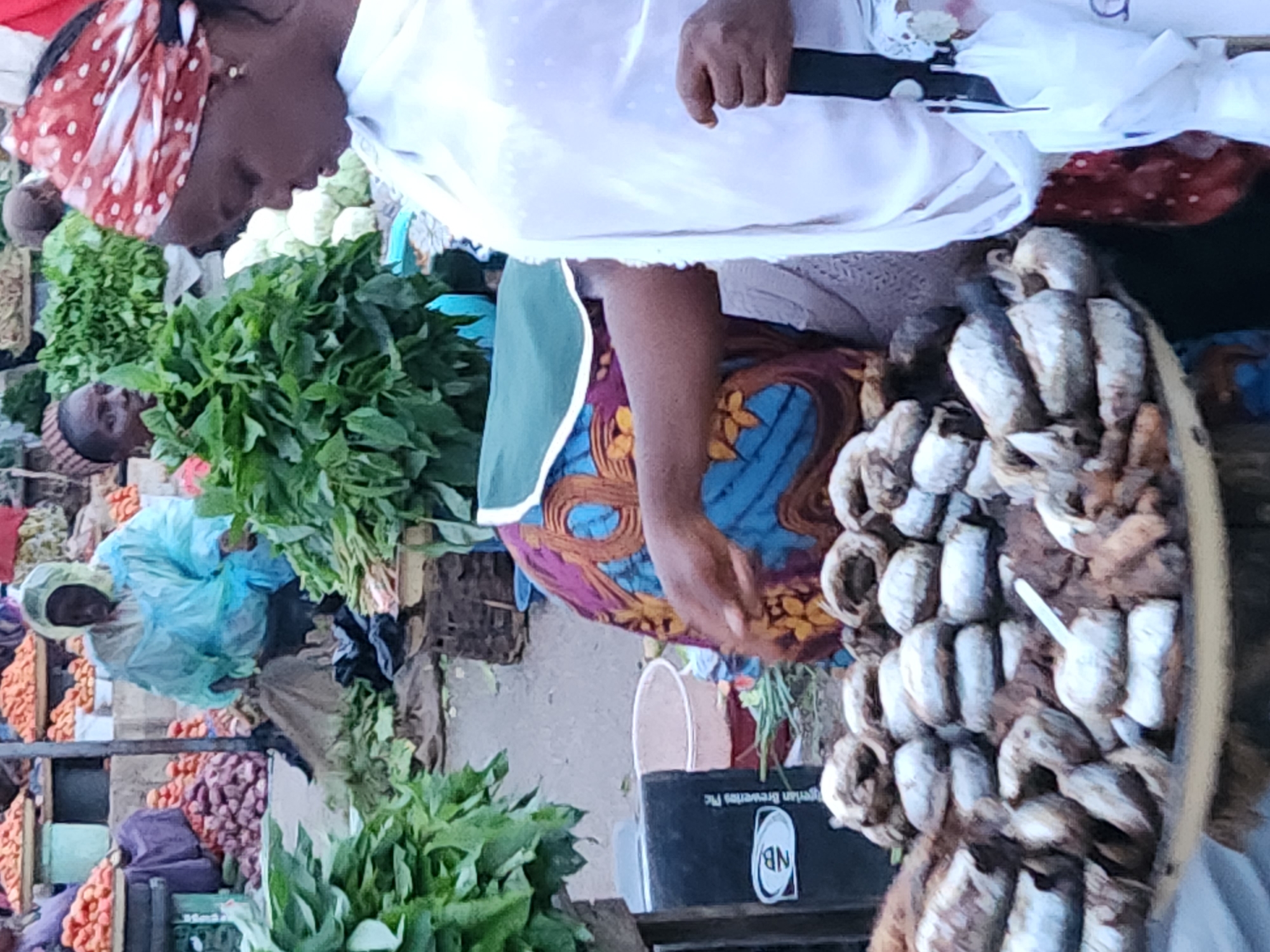 A medium shot captures a bustling outdoor market scene in Kabong, Nigeria. The foreground is dominated by a circular tray piled high with small, dried fish, some appearing to have a white powdery coating. A woman, partially visible on the right, wears a white garment and a red and white patterned headscarf. Her right hand is extended, seemingly reaching towards the fish. Behind her, another woman is dressed in a vibrantly patterned blue and orange wrapper and a green head covering, her left arm also extended towards the fish. In the middle ground, a person in a bright blue rain poncho is visible, interacting with something on the ground. To the left, large bundles of green leafy vegetables are stacked. The background reveals more market stalls with piles of produce, including what appear to be onions and other vegetables, as well as other shoppers and vendors. The ground is rough and appears to be a dirt or paved surface. The lighting suggests it is daytime.