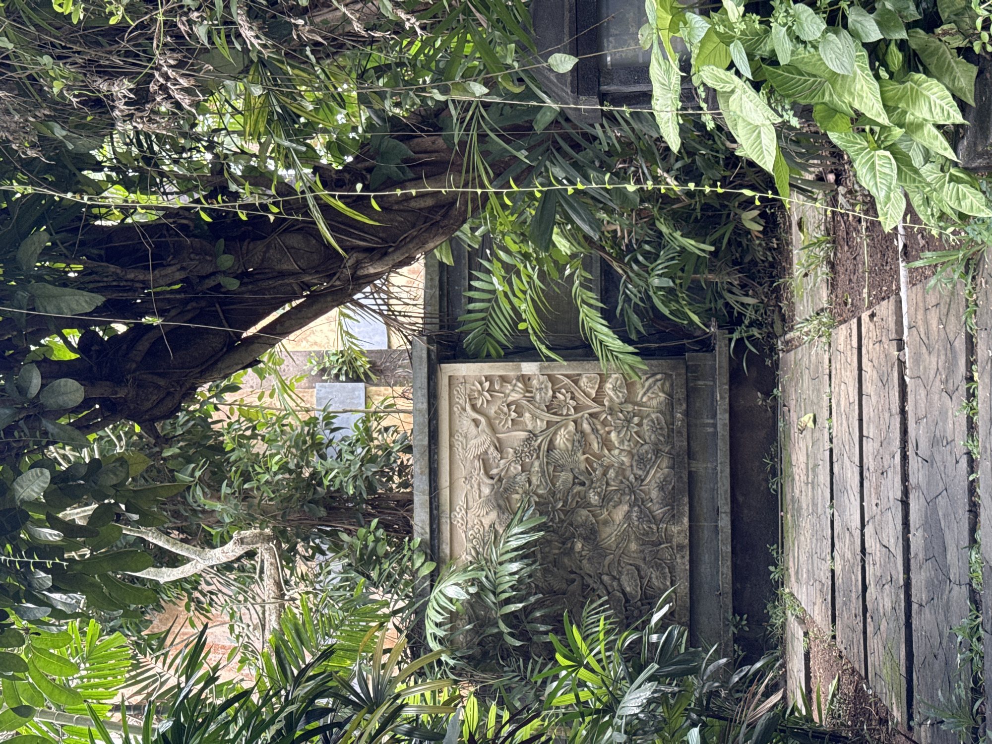 The image depicts a garden scene in Kuta Selatan, Indonesia. A stone carved panel featuring floral and avian motifs is centered. The panel is framed by what appears to be a building. Vegetation, including leafy plants and ferns, surrounds the panel. A weathered wooden walkway is on the right. A tree with exposed roots is visible on the left.