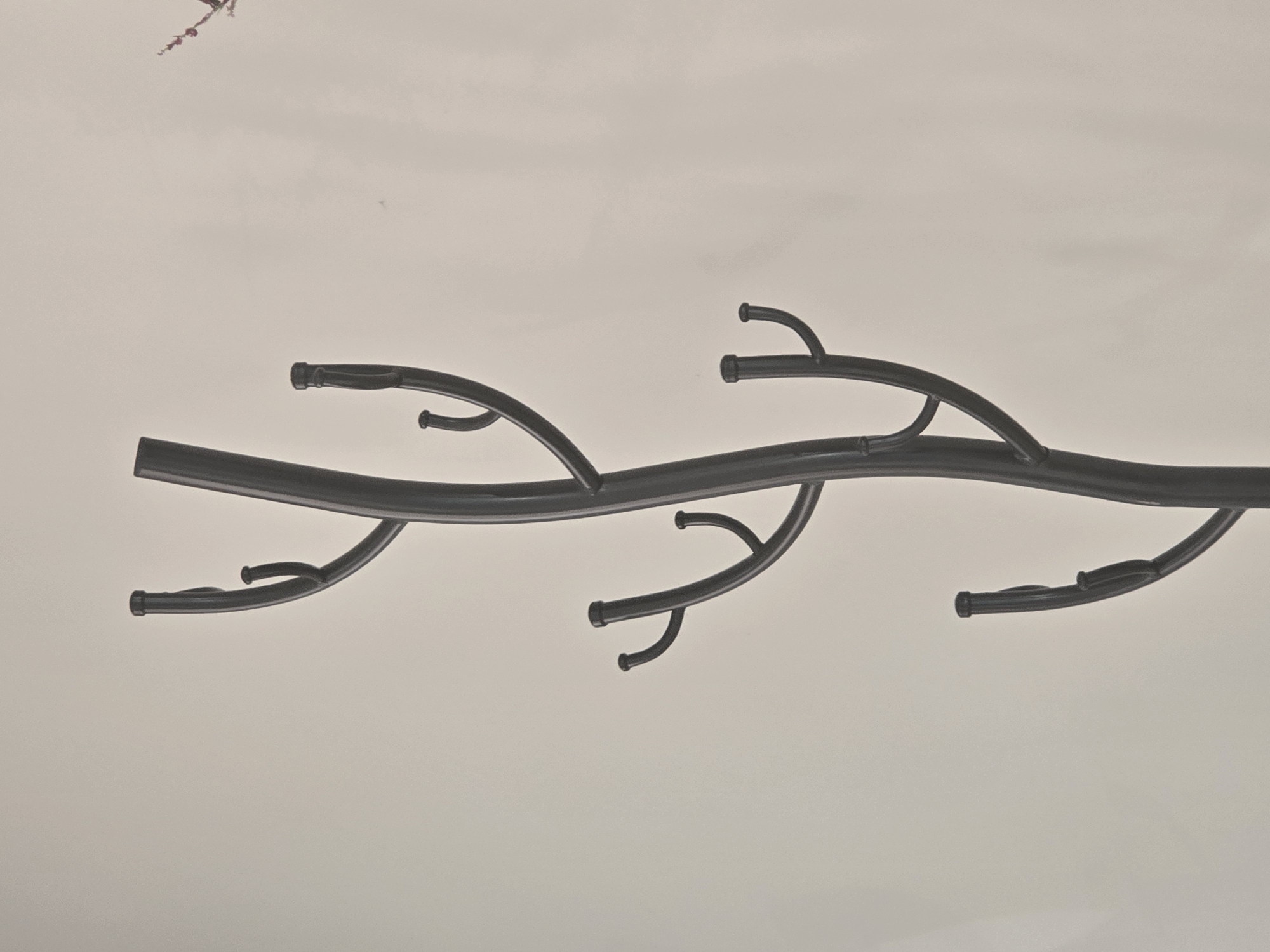 The image is a close-up, low-angle shot of a dark gray, tree-like coat rack against a plain, light gray background. The coat rack has a central vertical pole from which multiple branches extend outwards and upwards, each ending in a hook. The hooks are curved and have rounded tips. The overall impression is that of a stylized, skeletal tree. There is no indication of the location in Ulan-Ude, Russia, nor are there any people, actions, or interactions depicted. The environment is minimalist and appears to be indoors, possibly a studio setting or a sparsely decorated room.