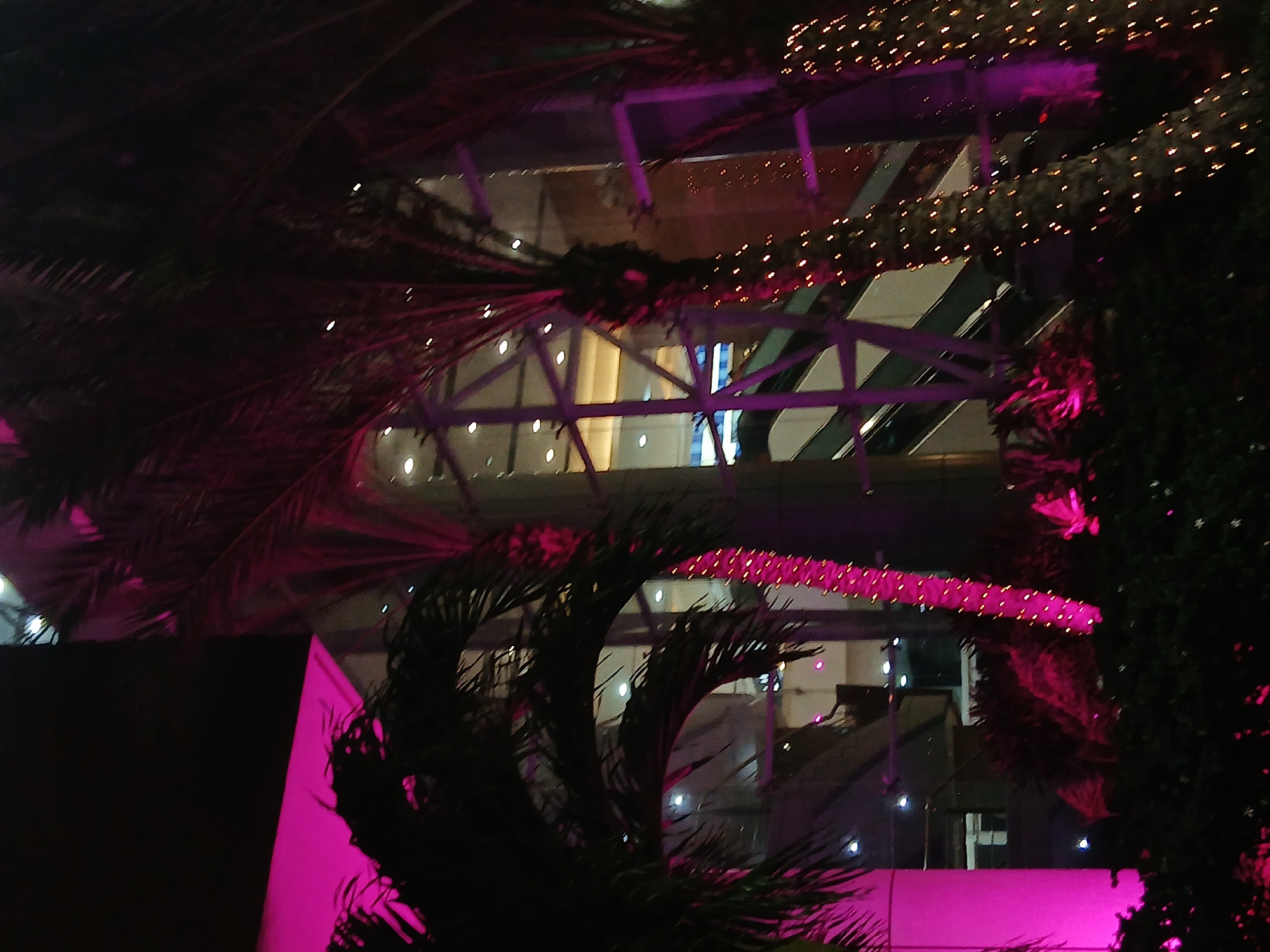 The image shows the Sambil Margarita shopping mall in Porlamar, Venezuela at night. The mall's interior structural supports and escalators are visible through its glass facade. The building is decorated with string lights. Palm fronds and other foliage are in the foreground, illuminated with pink light.