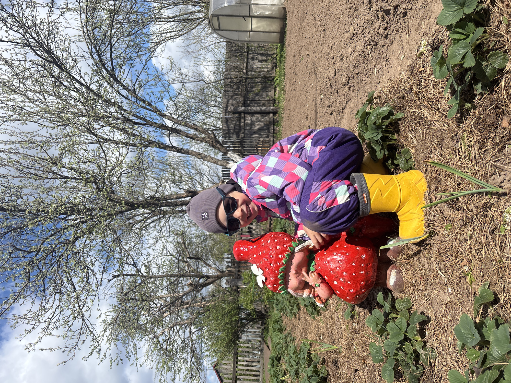 A young child, wearing a gray hat, sunglasses, a purple and pink patterned jacket, and yellow rubber boots, crouches next to a lawn ornament shaped like large strawberries. The scene takes place in a garden in Ваньки, Russia. Straw-colored mulch surrounds the ornament and strawberry plants grow nearby. In the background, a greenhouse and wooden fence can be seen, along with bare trees against a cloudy sky. The ground is visible soil.