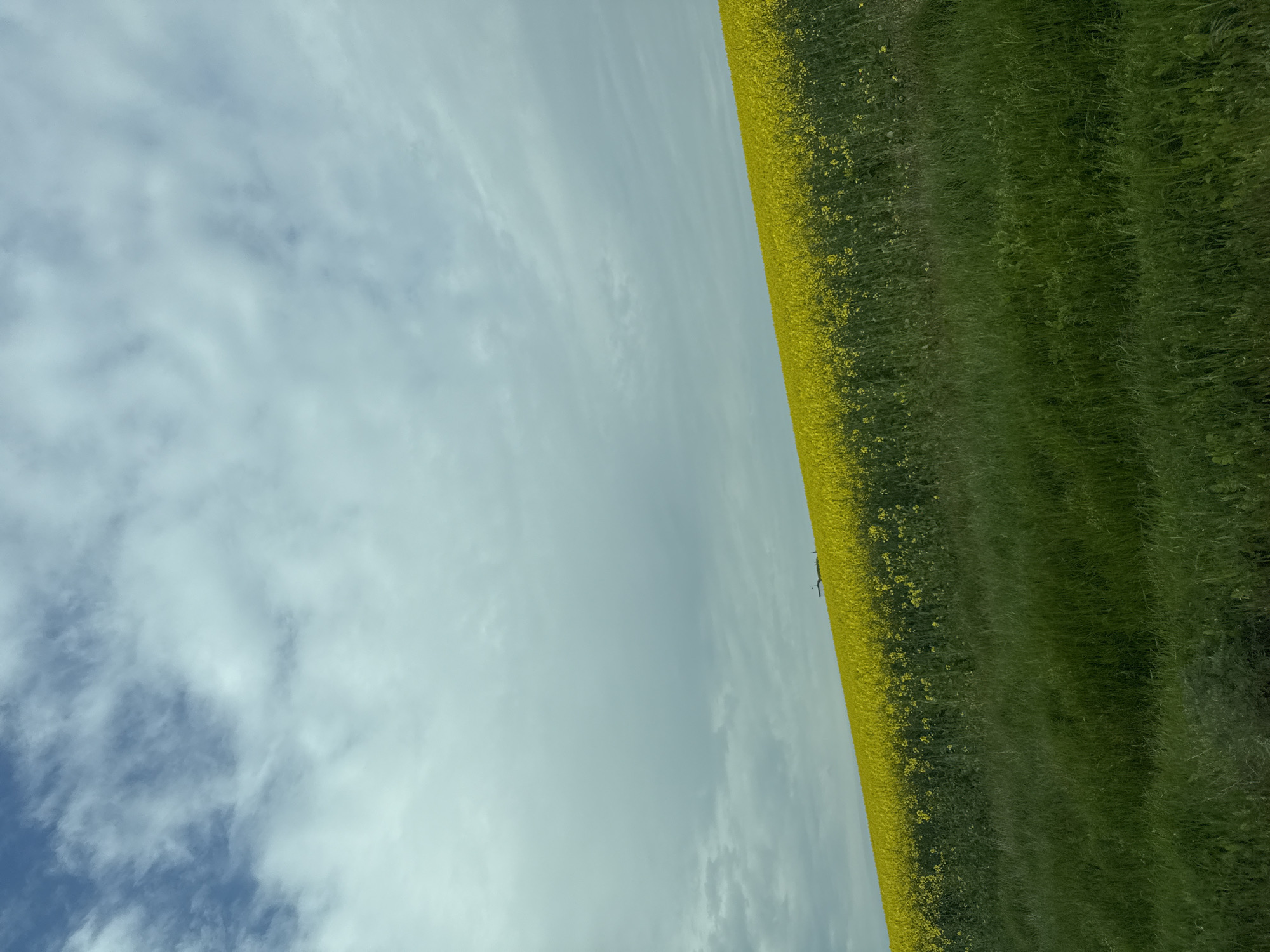 The image shows a landscape in the Kichevo area of Bulgaria. On the right, a field of green grass mixed with yellow flowers is visible. The sky is partially cloudy, with a mix of blue and white.