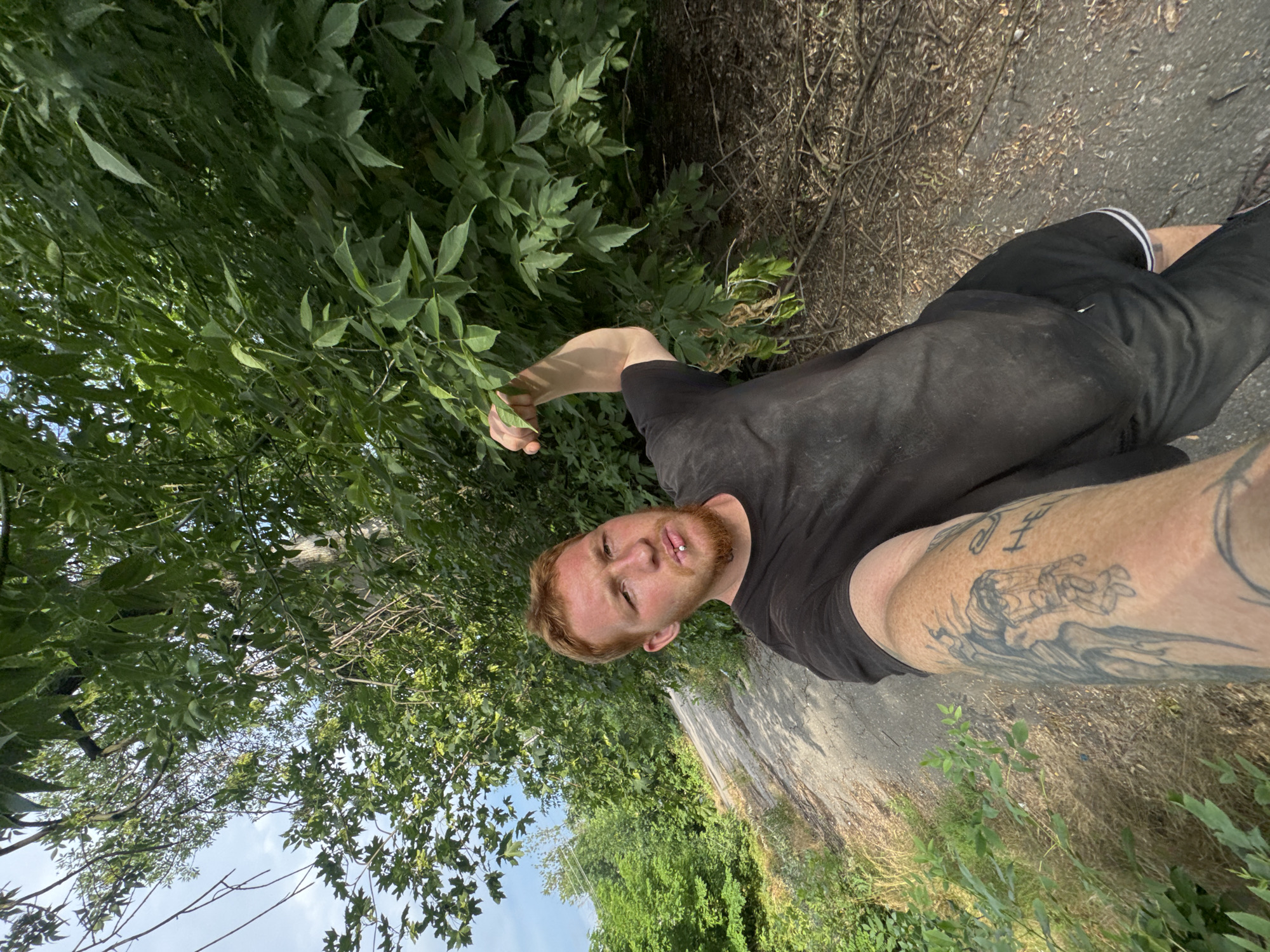 This media file shows a person in an outdoor, natural setting. The subject is a man with red hair and a beard, wearing a black t-shirt and black shorts. He has a lip piercing. The man has tattoos on his left arm, including one that appears to depict a scene with waves and figures. He is positioned in the frame such that the image is oriented sideways.
The setting appears to be a wooded or overgrown area, with lush green foliage on the left side of the frame, likely trees and bushes. On the right side, there is a path or dirt road, with dry grass and twigs. The sky is visible in the upper left, suggesting it is daytime. The lighting indicates it might be late afternoon or early evening, with some shadows visible on the ground.
The man is looking towards the camera and has a relaxed expression. His left arm is extended, with his hand near some of the leaves. The overall impression is of a casual, candid shot taken outdoors. No text is visible in the image.