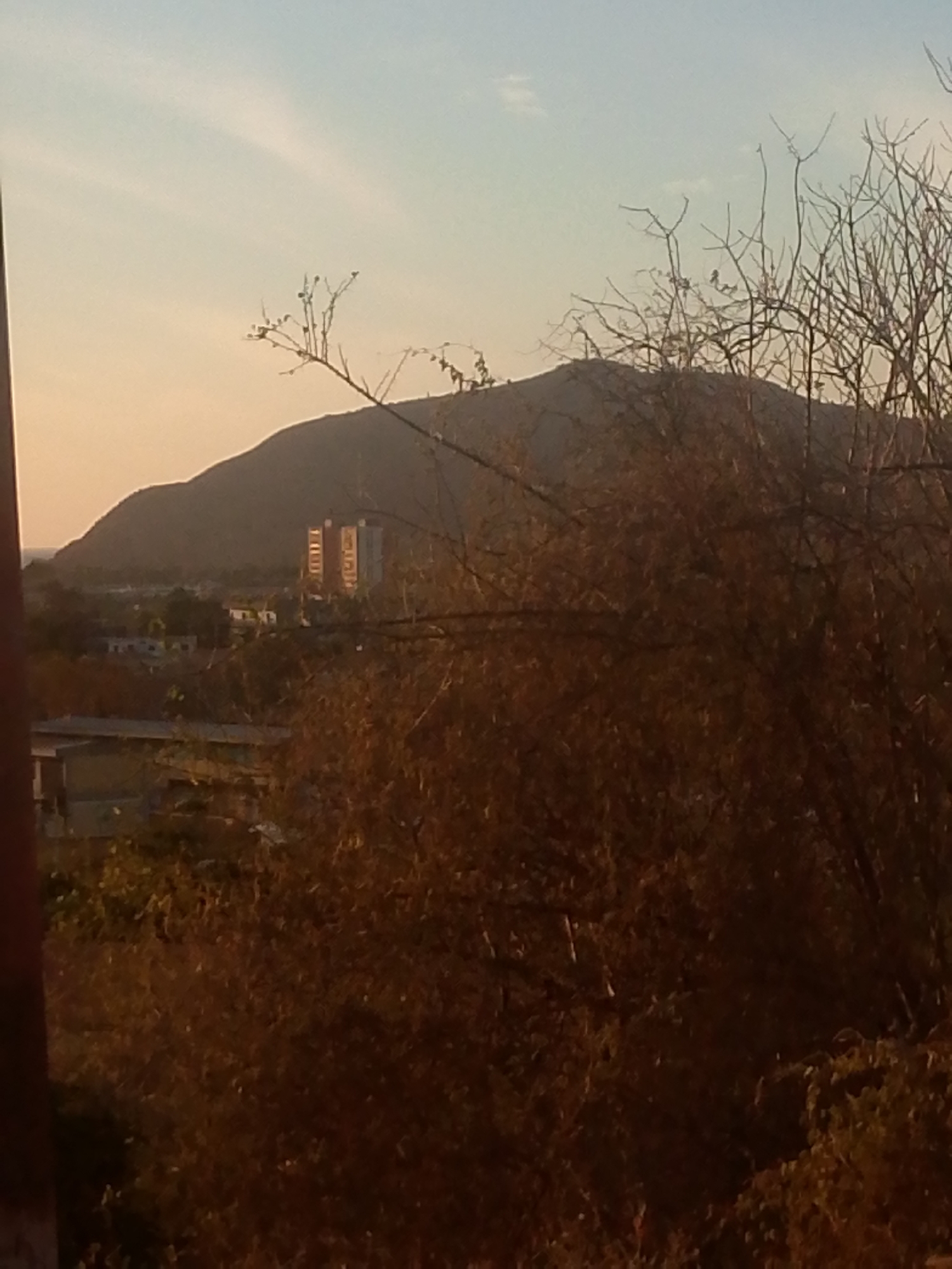 The image shows a landscape in Altagracia, Venezuela, at dusk or dawn. In the background, there's a hill or mountain. In front of the hill, there's a building, presumably a residential or commercial complex. The foreground is dominated by dense foliage, possibly shrubs or trees. The sky is a pale mix of blue and orange. The lighting suggests either sunrise or sunset.