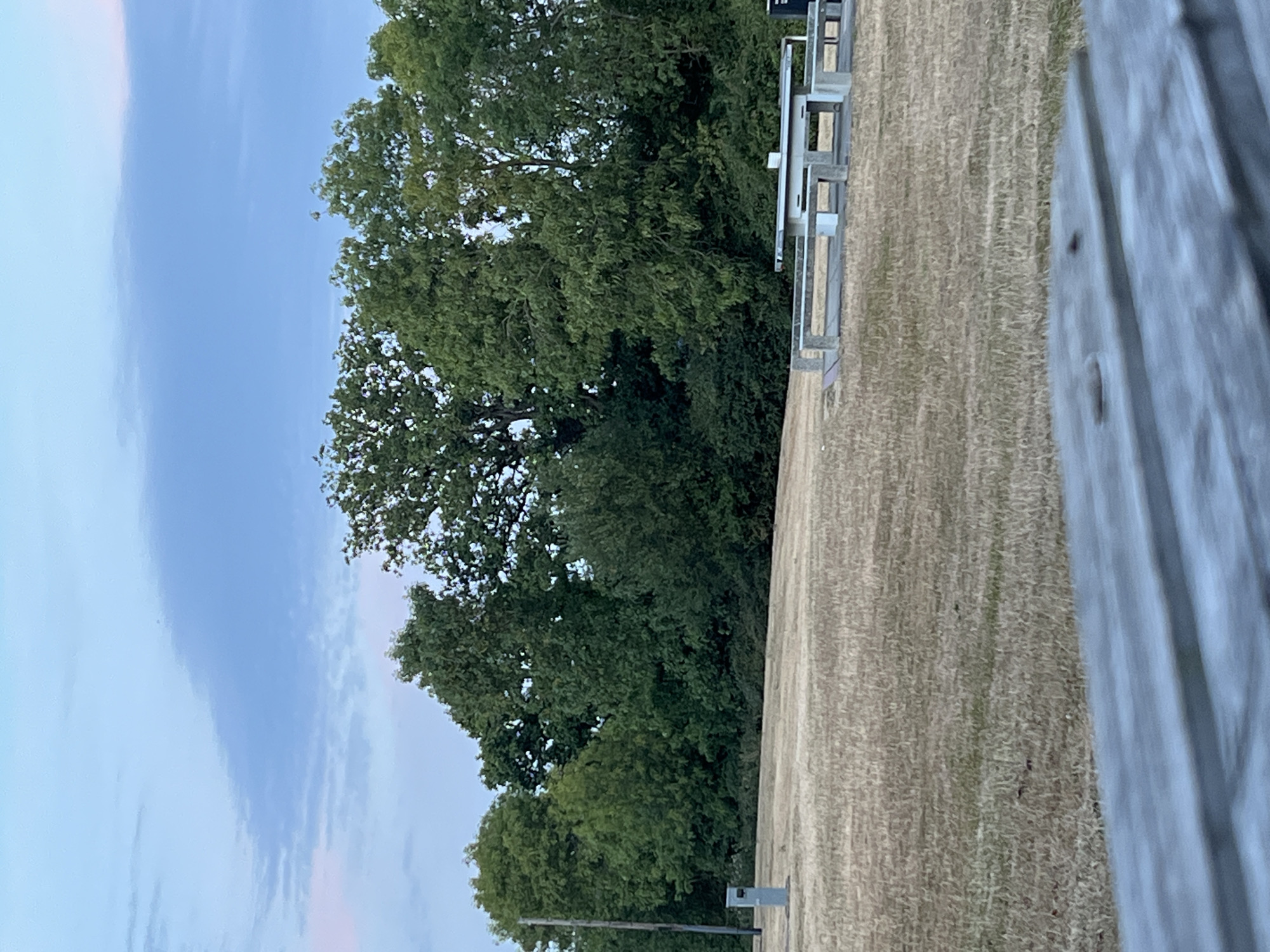 The image depicts an outdoor scene with a foreground of a wooden surface, likely a table, and a midground of dry, mown grass. In the background, a line of trees forms a dense foliage backdrop against a pale blue sky with soft clouds. A concrete picnic table with benches is visible on the grass. To the left, a grey utility post stands near the edge of the grass. The overall impression is of a park or recreational area. The location is identified as Guildford, United Kingdom, though specific landmarks within the city are not discernible from the image alone. No people are present in the frame. The lighting suggests it is late afternoon or early evening.