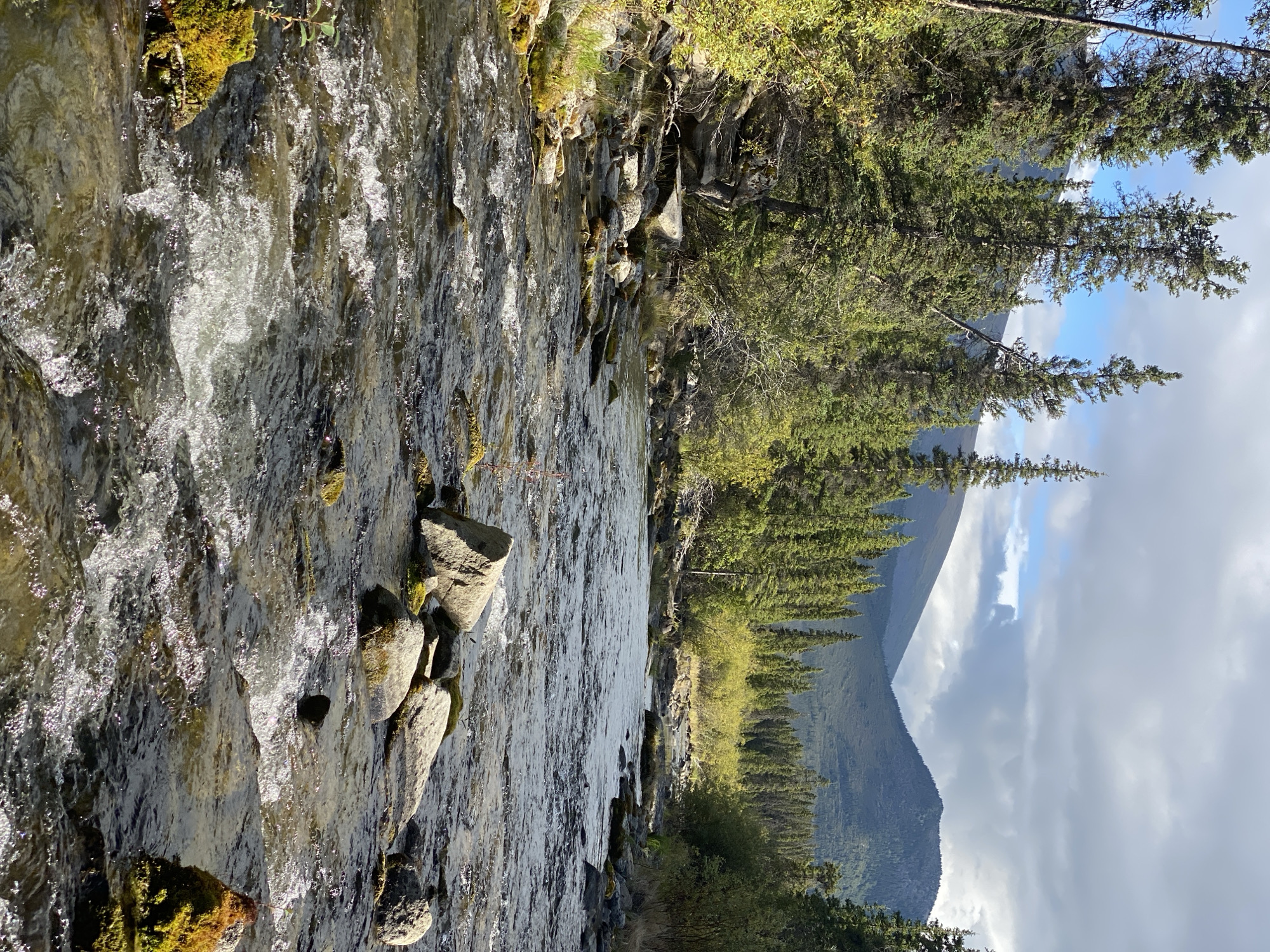 A wide, shallow river flows through a rocky, wooded area in Yukon, Unorganized, Canada. The river is clear and shallow, with many rocks visible beneath the surface. The water is flowing quickly, creating ripples and white water in places. The riverbanks are lined with trees, mostly pine trees, with some deciduous trees in the foreground. The trees are lush and green, indicating a warm season. The sky is partly cloudy, with some patches of blue sky visible. In the distance, there are mountains. The overall impression is one of a wild and natural landscape.