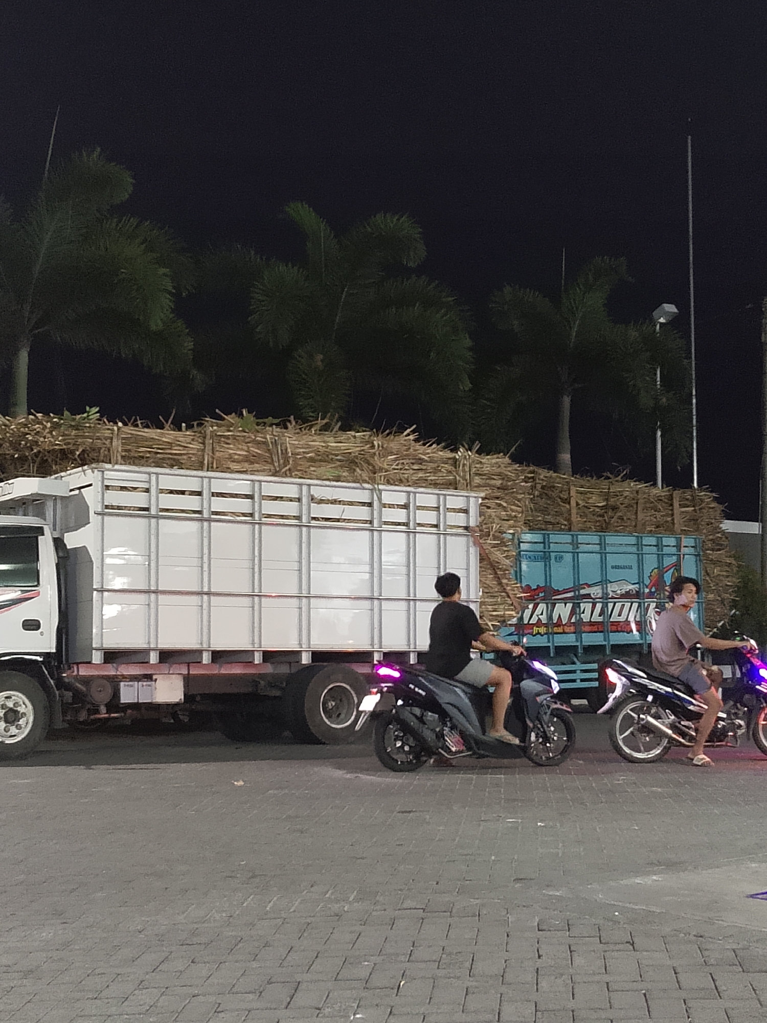 In the city of Kasiman, Indonesia, at night, two men are seen riding motorcycles. The man on the left is riding a dark-colored scooter, and the man on the right is riding a lighter-colored motorcycle. They are riding on a paved road with a brick-like pattern.
Behind the motorcycles, a large white truck is parked, loaded with a large quantity of dried sugarcane stalks. To the right of the white truck, a blue truck with text on its side is also visible. The background consists of dark sky and palm trees. The lighting suggests artificial light sources, likely from streetlights and the vehicles themselves, illuminating the scene.