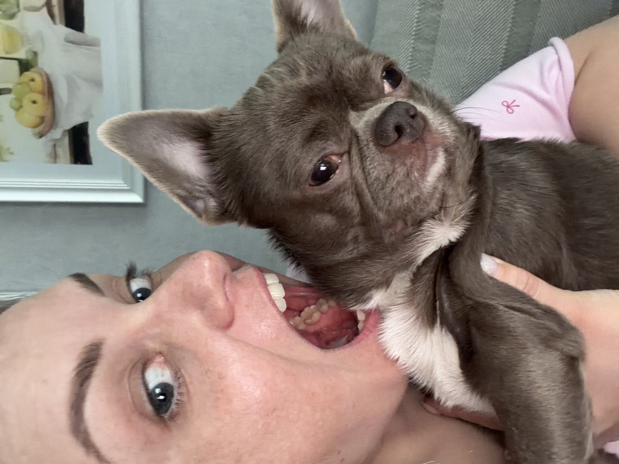 A woman lies on her back, holding a small gray dog close to her open mouth. The dog's head is near the woman's teeth, with one of the dog's paws held in the woman's hand. The woman's face is visible, and she appears to be looking upwards. In the background, a wall with a framed picture is visible. The woman wears a pink top with a bow. There is no indication in the image that it was taken in Votkinsk, Russia.