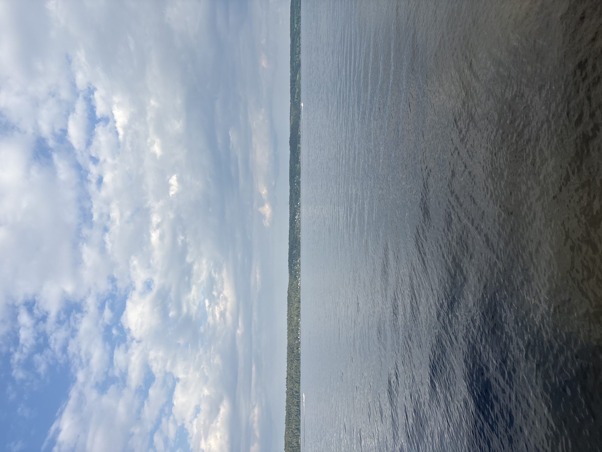 A wide shot shows a calm, gray lake under a partly cloudy sky. The distant shore is lined with a dense, green forest, behind which a scattering of small buildings can be seen. The water is dark and reflects the muted tones of the sky and the trees. A small white boat is visible on the left side of the frame, leaving a faint wake on the water. The overall impression is one of serene natural beauty on a slightly overcast day, likely in a rural or semi-rural setting. This scene is representative of the natural environment found near the village of Lyady, Russia, which is situated near a large body of water and surrounded by forests.