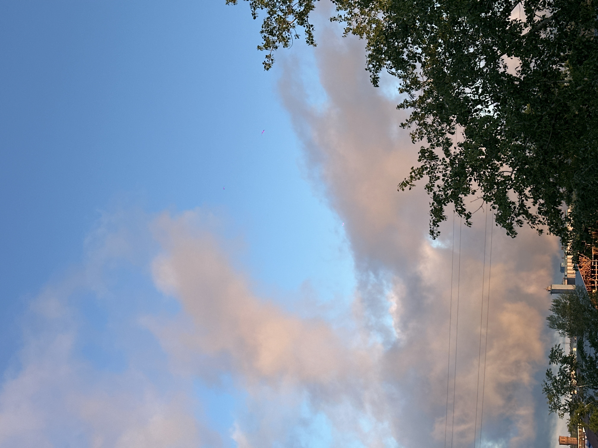 The image shows a section of sky with clouds and a tree branch in the upper right. There appear to be power lines running through the cloud area. In the bottom right, a building under construction with scaffolding is visible. Further down, there are treetops and parts of buildings. It is difficult to pinpoint if the image is of Biysk, Russia without further information or distinctive landmarks.