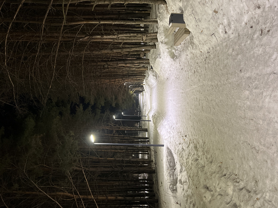 The image depicts a snow-covered pedestrian pathway at night, located in a wooded area within the city of Yelabuga, Russia. The path, which extends into the distance, is illuminated by a series of modern, tall streetlights with bright, white-yellow light, spaced evenly along both its left and right sides. Accumulations of snow form banks along the edges of the pathway, with the cleared central section showing a thin layer of ice and packed snow.
To the left of the path, a dense line of coniferous trees, primarily pines, with dark green foliage is visible. To the right, a parallel line of bare deciduous trees with visible branches and no leaves stands. Near the foreground on the right side of the path, a light-colored wooden bench with a dark-colored frame is partially covered in snow, adjacent to a dark grey rubbish bin. No individuals, animals, or active subjects are present within the frame. The sky above is dark, indicating nighttime conditions.