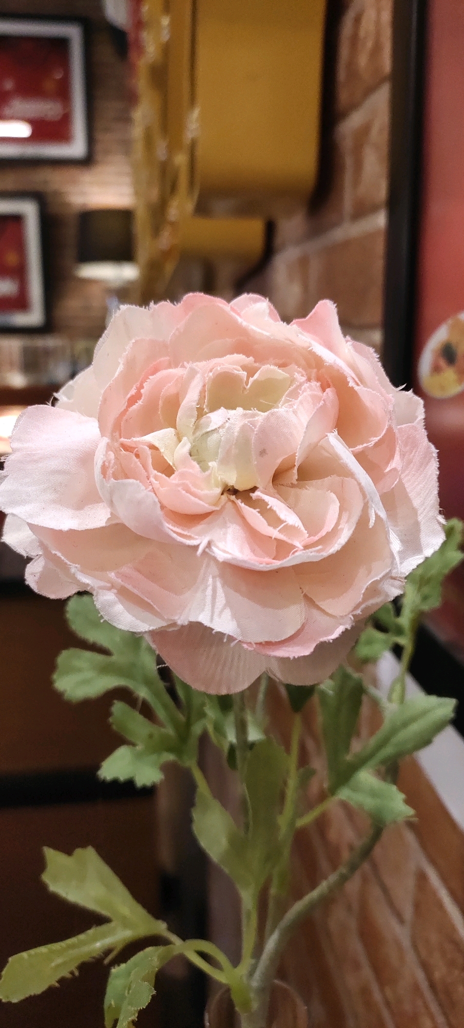 A close-up, vertical shot features a delicate pink flower with numerous ruffled petals. The flower is the primary subject, positioned in the center of the frame, with its petals fanning out. Below the bloom, green leaves and stems are visible, suggesting it is a potted plant or a cut flower in a vase. The background is softly blurred, indicating a shallow depth of field. Elements in the background include what appear to be framed pictures on a wall, a yellow structural element, and brickwork. The lighting is soft, highlighting the textures of the flower petals and leaves. The scene does not contain any people or any explicit indication of its location within Nganguk, Indonesia.