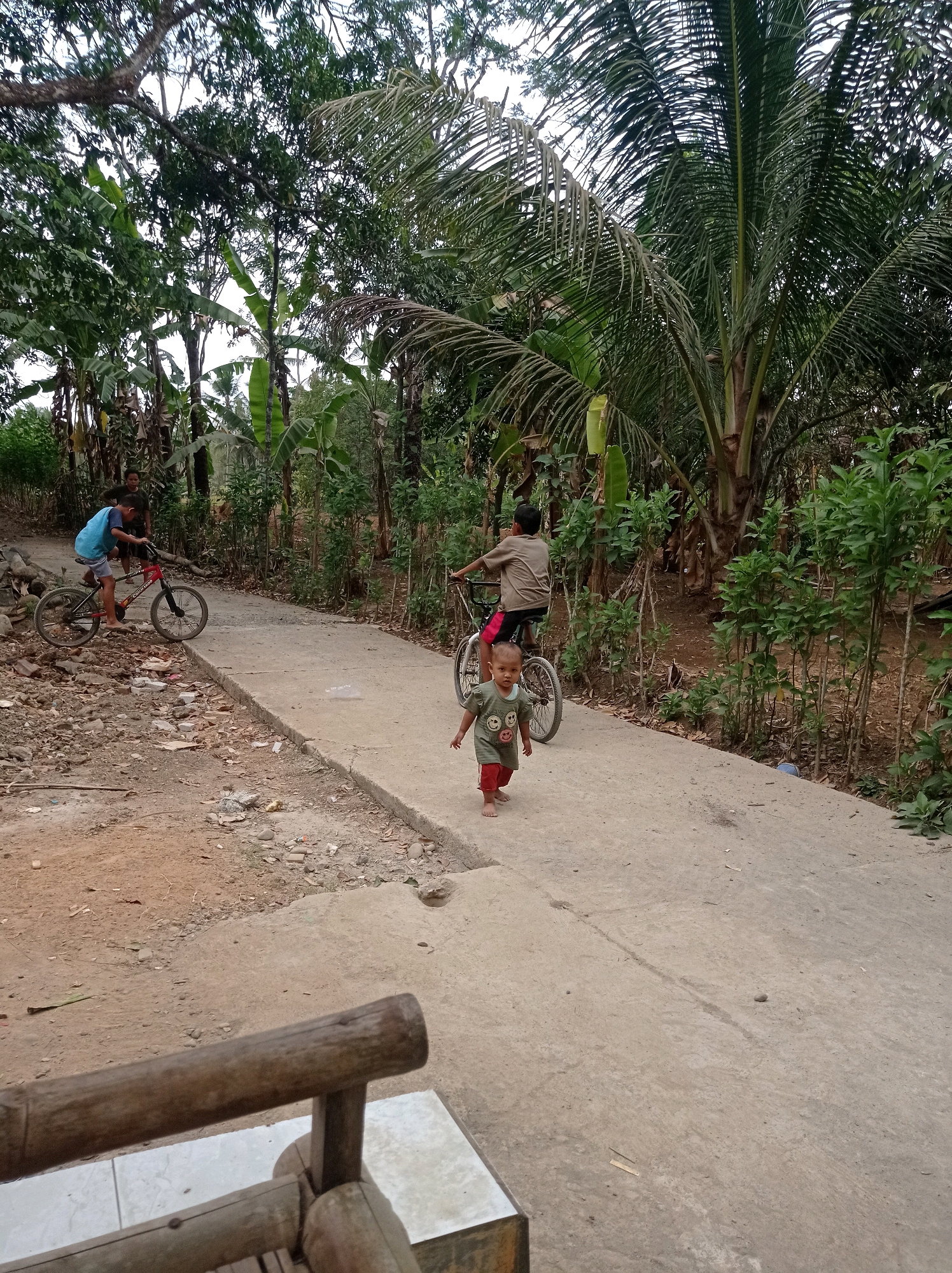 In Kedungbenda, Indonesia, a dusty dirt road meets a concrete path lined with lush vegetation. Two young boys are on bicycles on the concrete path. One boy, wearing a blue shirt and dark shorts, rides a black and red bicycle. The other boy, in a brown shirt and red shorts, rides a white bicycle. A toddler in a green shirt and red shorts walks barefoot on the path towards the viewer. In the foreground, a weathered wooden bench with a tiled seat is partially visible. The background is dominated by a dense tropical forest with palm trees and banana plants. The sky is overcast.