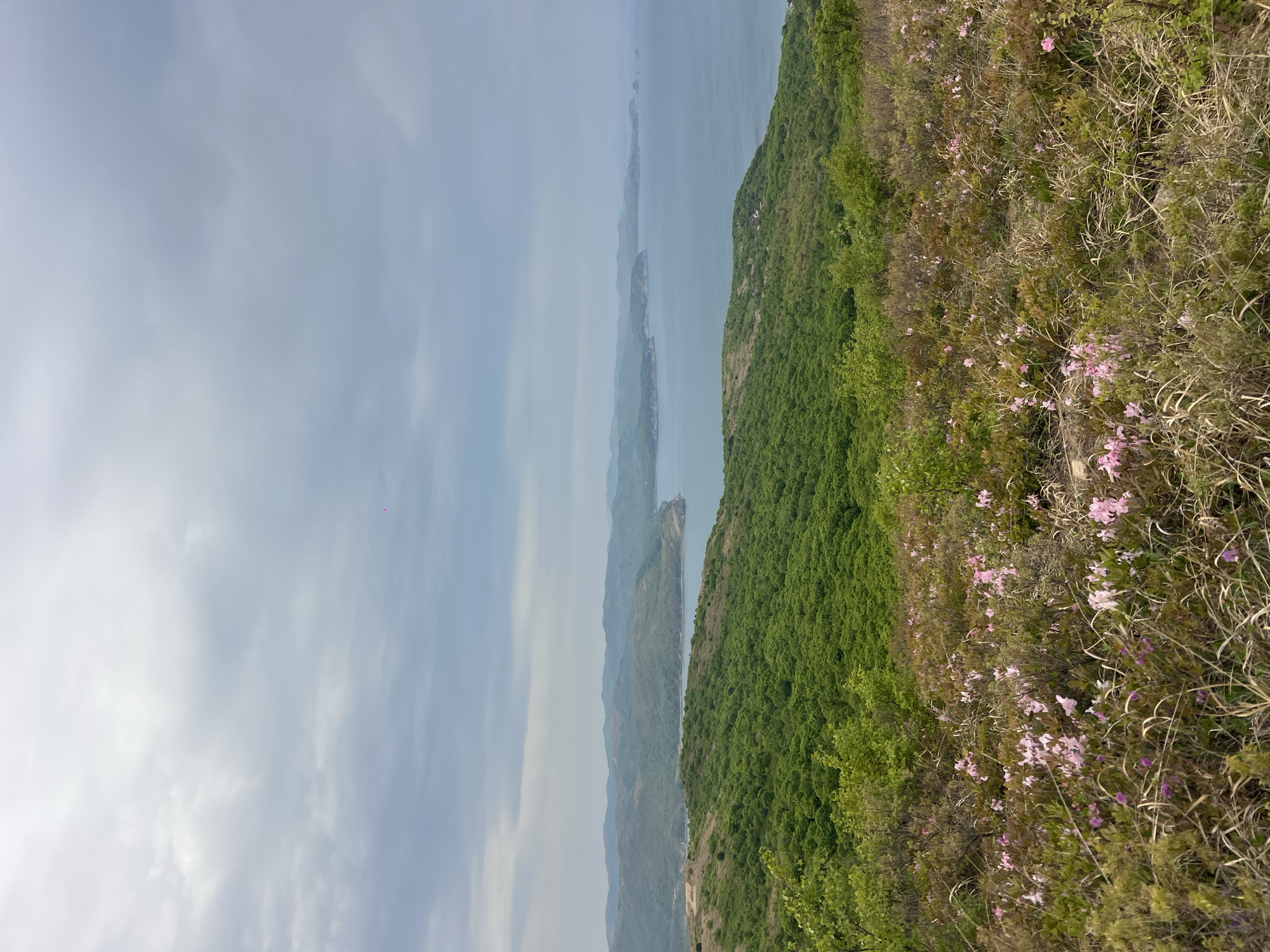 The image shows a landscape from what appears to be a high vantage point. On the right side, there is a hillside covered in green vegetation with patches of pink flowers. To the left, there's a body of water (possibly a sea or a large lake) under a cloudy, overcast sky. The water is separated from the hillside by more land, possibly islands or another part of the coastline. The landscape seems to be located near Vityaz', Russia, given the geographical features associated with such areas. There are no visible people in the scene. The image is oriented vertically.