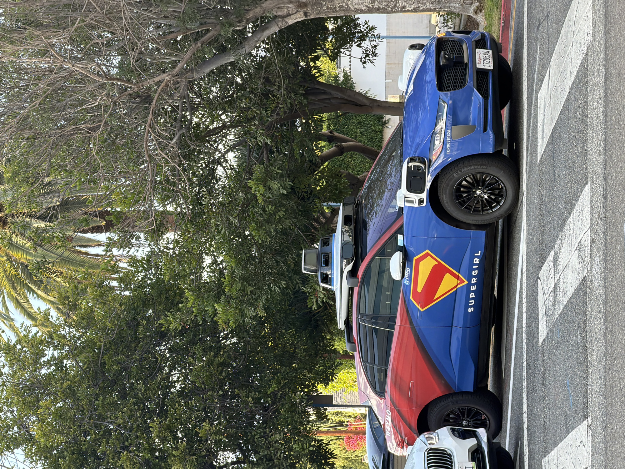 The image shows a blue Jaguar F-PACE SUV parked in a crosswalk on a sunny day in Beverly Hills, California. The car is adorned with a Supergirl theme, featuring the iconic S-shield logo on the rear passenger door and "SUPERGIRL" written in white lettering. The rest of the car's body is a gradient from red to blue. A palm tree and other greenery are visible in the background, along with a white building. The license plate of the car reads "1TZG5A4". The scene appears to be a street or parking lot with clear white crosswalk markings. No people are visible in the image. The time of day appears to be daytime due to the bright sunlight and shadows.