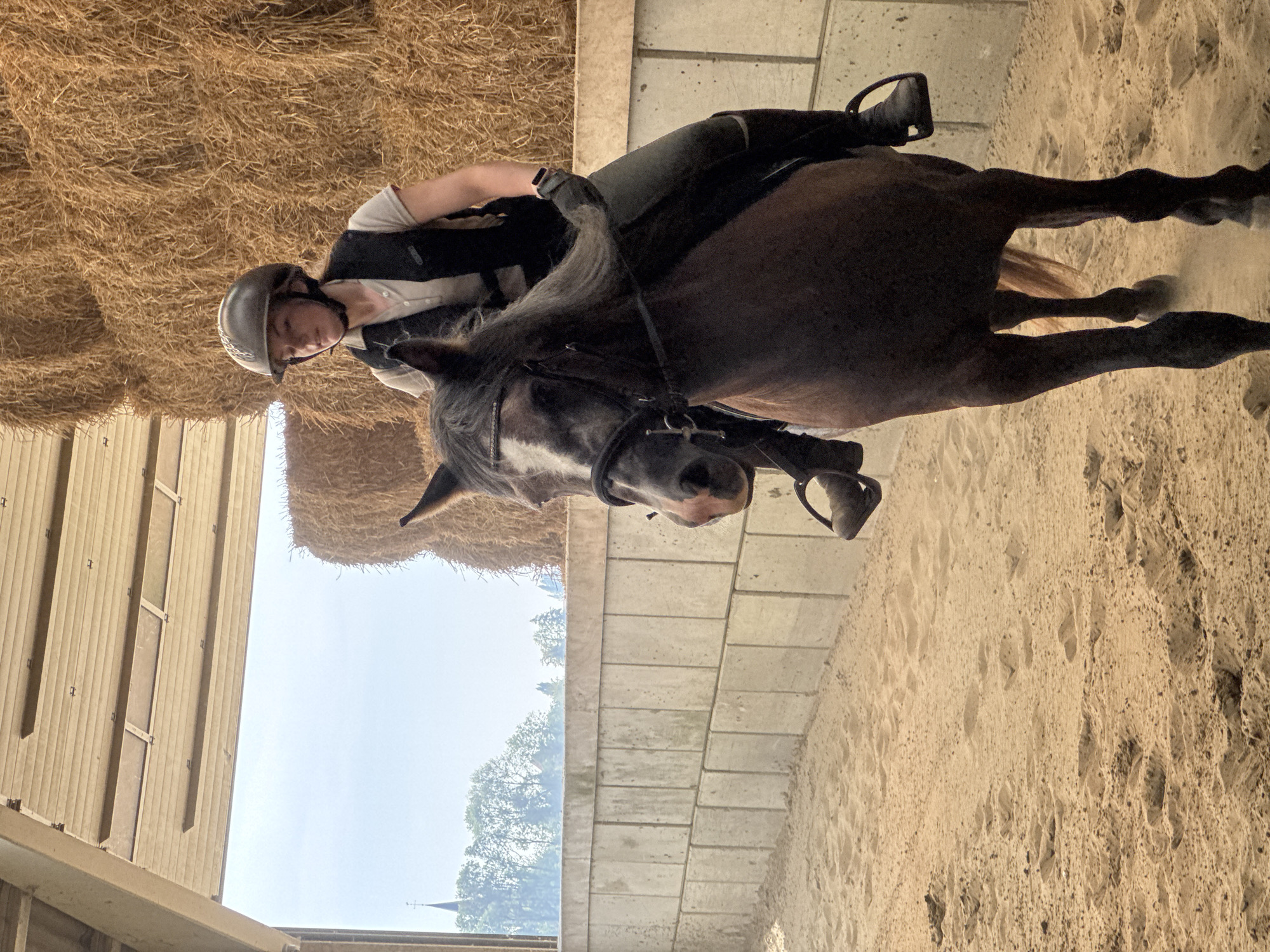 A young woman wearing a riding helmet and vest is riding a dark brown horse in an indoor riding arena. The arena has a sand floor with visible hoof prints. To the right, large stacks of hay bales are visible. The background shows a concrete wall, an open-air structure with a wooden ceiling, and a view of trees, a steeple, and a cloudy sky. The image appears to be taken in a rural setting, possibly a stable or equestrian center within the commune of Estaimpuis, Belgium.