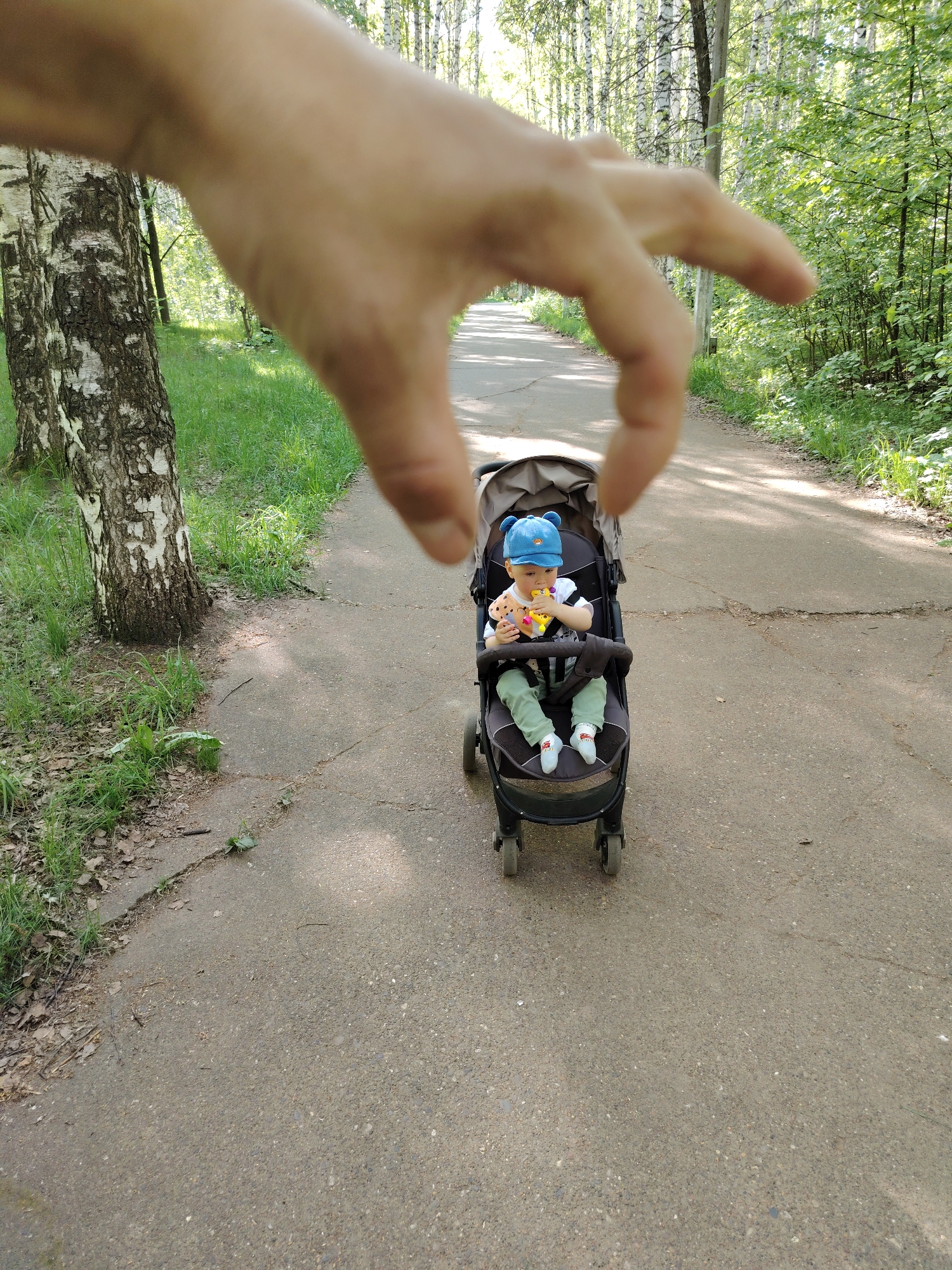 A color, medium shot depicts a baby in a stroller on a paved path in a park or wooded area, with a person's hand held up in the foreground as if to "pinch" the baby. The baby, wearing a blue hat, white shirt with patterned overalls, and green pants with white socks, is seated in a black stroller and holds a toy. The stroller is positioned on the right side of a cracked, light gray paved path that stretches into the background. The background consists of birch trees and lush green foliage. To the left of the path, near the stroller, is a birch tree trunk. A large, out-of-focus hand is positioned in the upper left quadrant of the frame, as though pinching the baby. The image was likely taken in the daytime. Given the presence of birch trees, it is possible this image was taken in or near the city of Chaikovsky, Russia, where birch trees are common.