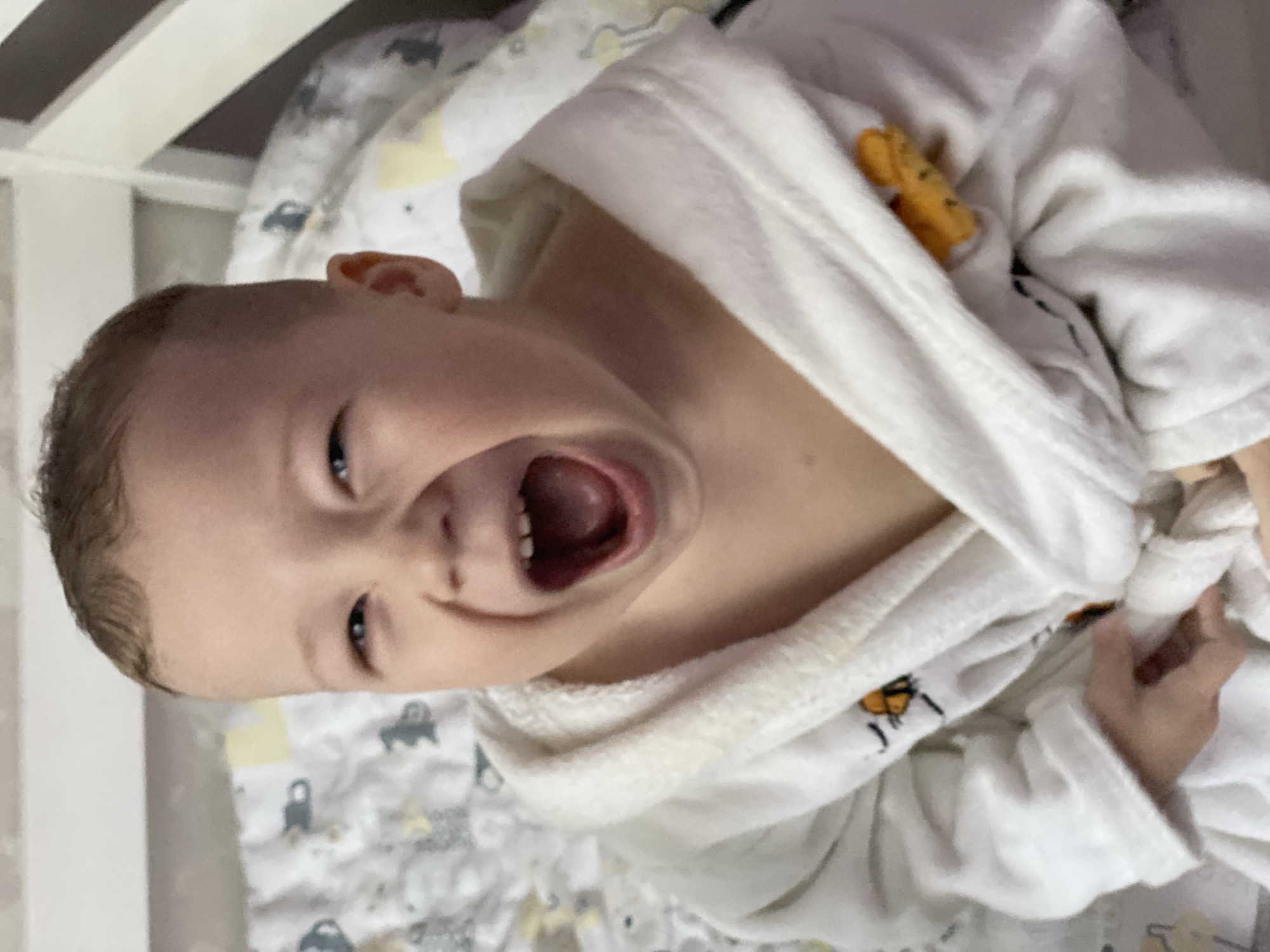 A young child is captured in a vibrant, close-up, high-angle shot, looking directly at the camera with a wide-open mouth and bright, expressive eyes, conveying joy or excitement. The child is wearing a white, fluffy bathrobe, possibly with a subtle patterned lining or design, and appears to be in a crib or bed with a white wooden frame.
The child's head is tilted, emphasizing their animated expression, as if mid-laugh or shout. Their hair is light brown and slightly damp or styled. The bathrobe has a small, light orange or yellow patterned detail visible near the shoulder, possibly a toy or an embroidered element. The bedding features a light-colored background with a repeating pattern of cartoonish vehicles, like cars and trucks, in shades of grey and yellow, suggesting a playful child's room.
The setting is indoors, likely a bedroom or nursery, with the child positioned against the patterned bedding. No specific time of day or weather is discernible from the indoor scene. The image primarily captures the child's lively emotion and interaction with the camera. There is no clearly visible text on the child's clothing or in the immediate surroundings. The location context provided is Sochi, Russia, though this is not visually evident in the image itself.