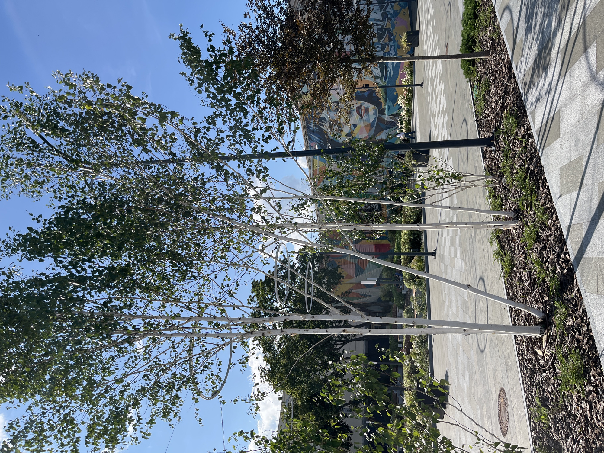 This is a photograph of an outdoor public space with several trees in the foreground and a mural on a building in the background. The trees in the foreground are predominantly birch trees with white bark. Some of these trees have circular metal rings attached to them, possibly for decorative or lighting purposes. Behind the birch trees, there is a large mural depicting a woman's face with colorful geometric patterns. The ground is paved with light-colored tiles, and there are beds of mulch and greenery around the trees. In the background, there are more trees and a building with a curved facade. A few people can be seen walking in the distance. The sky is blue with some scattered clouds. The scene appears to be a modern urban environment designed for public use, possibly a park or a pedestrianized area. The mural suggests an artistic element to the location. The presence of a manhole cover in the lower left corner indicates underground utilities. The overall impression is one of a well-maintained and visually appealing public space.