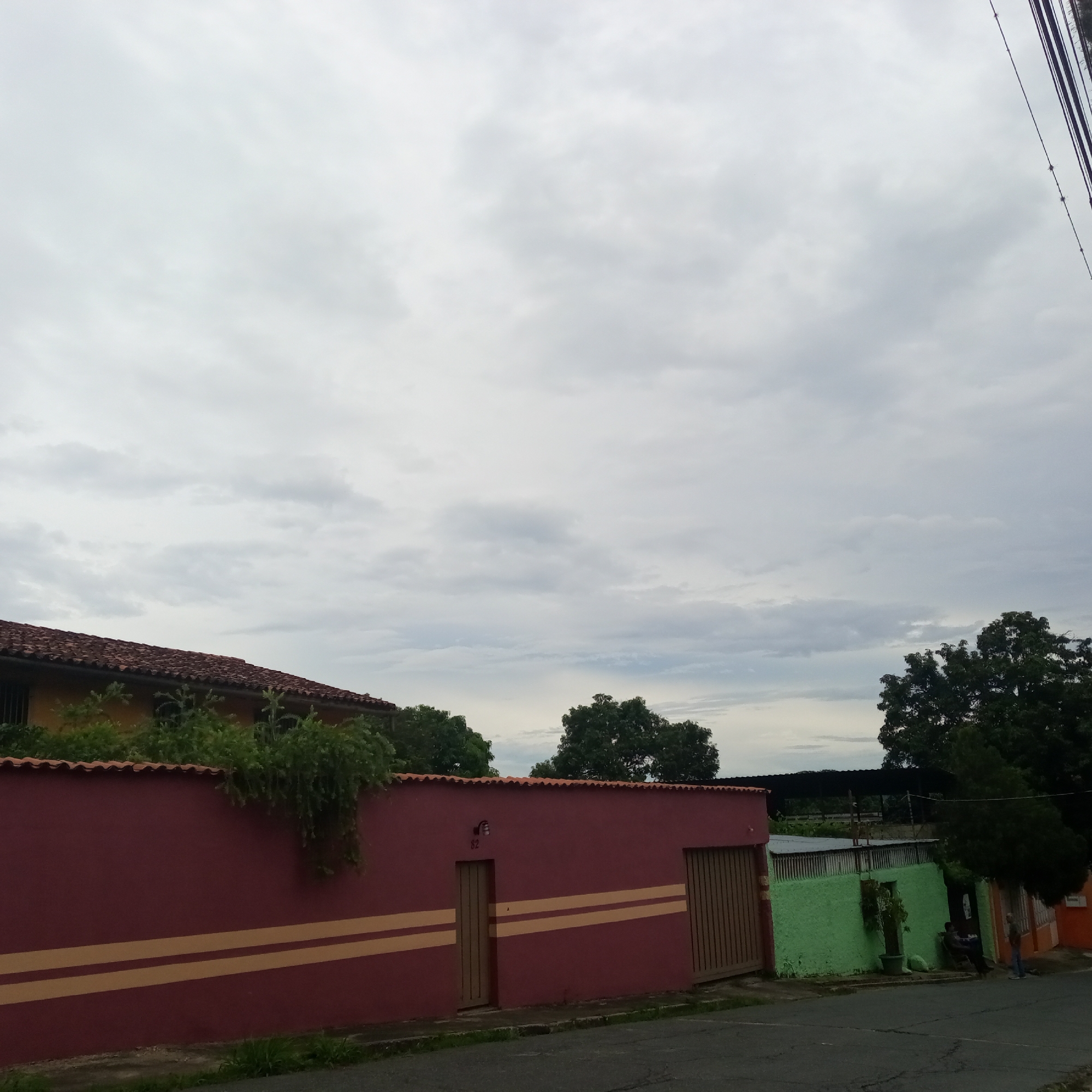 The image depicts a street scene in El Limón, Venezuela, under an overcast sky. In the foreground, a dark asphalt road is visible, with patches of grass along its edge. A prominent, long, deep red wall dominates the midground, adorned with two horizontal pale yellow stripes. This wall features a wooden gate on the right side and a smaller wooden door on the left, with the house number "82" above it. Behind the red wall, a portion of a house with a terracotta tile roof and yellow siding is visible, partially obscured by lush green foliage.
To the right of the red wall, a bright green wall extends, also with a corrugated metal roof structure behind it. This green section appears to be part of another property or dwelling. Further to the right, a darker colored building with a metal roof and fencing is seen, and a few individuals are present near the entrance. The background consists of dense green trees and vegetation, suggesting a residential area with abundant plant life. Overhead, several dark power lines run diagonally across the sky on the right side of the frame.