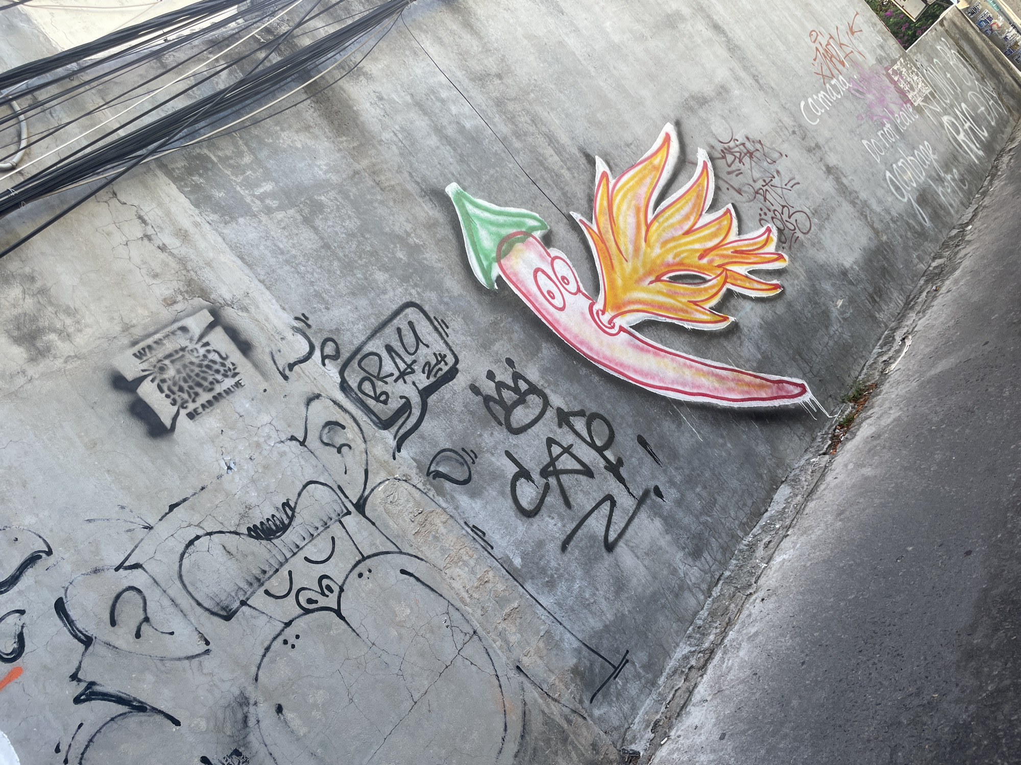 The image depicts a section of a concrete wall in Phu Thuy Ward, Vietnam, covered in various forms of graffiti. The graffiti includes stylized drawings of faces, abstract shapes, and text. A prominent feature is a colorful, cartoon-like drawing of a chili pepper with a face and flame-like protrusions, adhered to the wall. The wall itself appears weathered and cracked, with some areas showing signs of moisture. Overhead, a bundle of black electrical wires hangs down, crossing the upper portion of the frame. The bottom of the image shows a paved surface, likely a road or sidewalk, adjacent to the wall. The overall impression is one of an urban environment with street art and visible infrastructure.