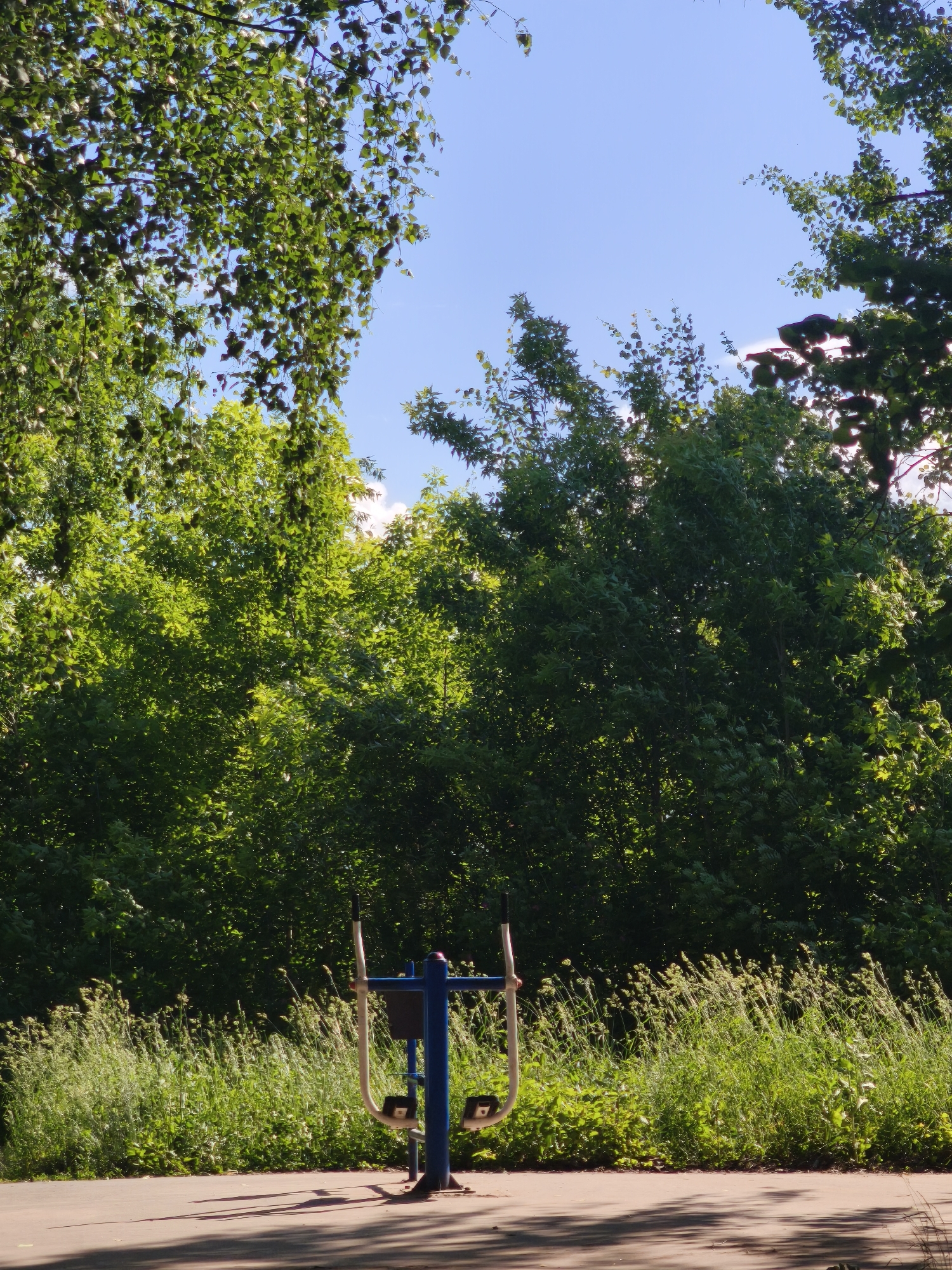 The image depicts an outdoor exercise machine located on a paved surface in Yoshkar-Ola, Russia. The machine is blue and white with two sets of pedals. It is positioned in front of a dense green hedge or line of trees. Above the hedge, the sky is clear blue with some sunlight filtering through the leaves of trees in the foreground. The scene is brightly lit, suggesting it is daytime. No people are visible in the image.
