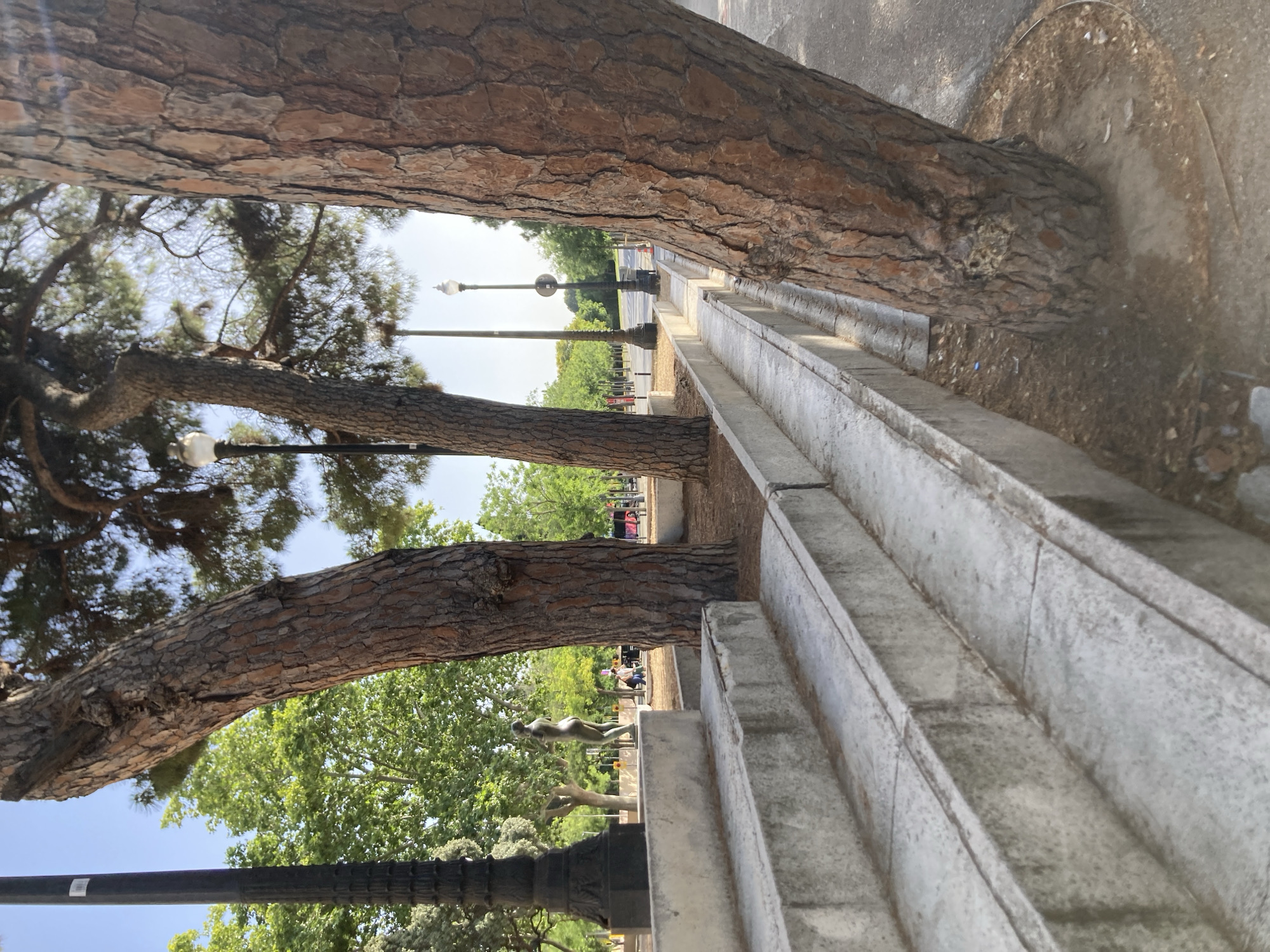 The image captures a section of a park in Barcelona, Spain, with a focus on several large pine trees. In the foreground, a concrete staircase descends from the left. To the right of the staircase, a narrow concrete channel runs parallel to it, separating it from the tree trunks. The trees, with their rough, textured bark, dominate the mid-ground and right side of the frame.
In the background, a path or road is visible, lined with more trees and lampposts. Further in the distance, there's a hint of a bus and some people walking. A small bronze statue of a figure can be seen on a raised platform to the left, behind the staircase. The overall environment suggests a public outdoor space, likely a park or promenade within the city, with a clear sky and ample greenery. The lighting indicates it is daytime, possibly late morning or early afternoon, given the bright sunlight casting shadows.