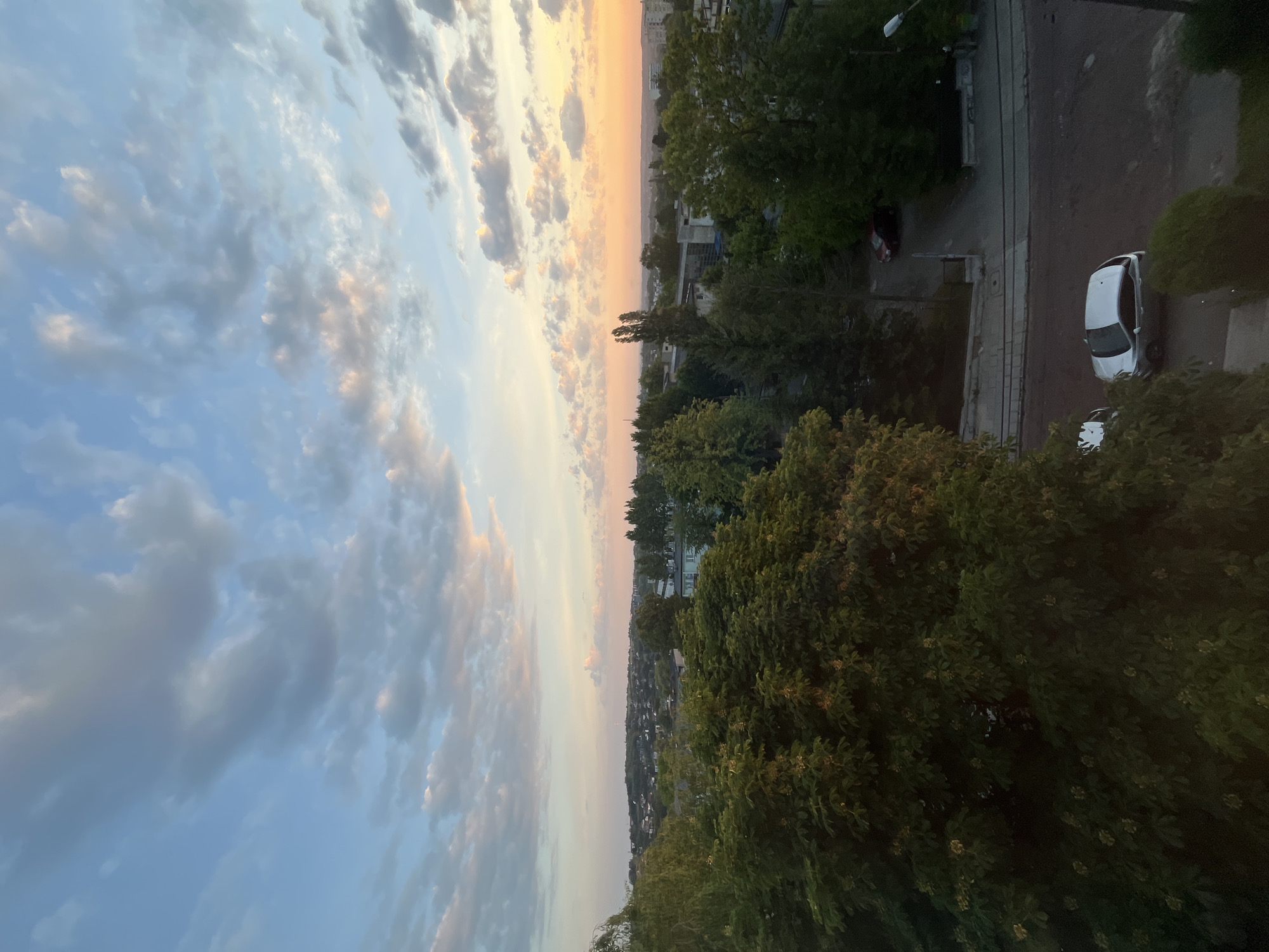 The image, viewed as correctly oriented, presents an expansive outdoor scene bathed in the soft light of either sunrise or sunset, indicated by the warm, gentle illumination. The upper portion is dominated by a wide sky, transitioning gracefully from a clear, pale blue on the left to subtle orange and pink hues towards the right horizon. Scattered clouds, varying in density and tone from light grey to white with tinges of peach, are distributed across the sky.
Below the horizon, a distant landscape stretches out, revealing a town or city with numerous buildings partially obscured by distance and atmospheric haze, interspersed with green areas. The mid-ground features a dense array of trees with rich, dark green foliage, along with additional structures visible among the canopy.
In the foreground, large, leafy trees with abundant dark green foliage fill the lower sections of the frame. On the left side, a street or paved area is visible. A white sedan is prominently parked on the street, and further left, parts of another dark-colored vehicle can be seen. Two distinct parallel lines, strongly resembling tram tracks, run along the visible portion of the street. A street lamp post stands near the road. No people are visible in the scene, and there is no discernible text. The overall atmosphere conveys a sense of tranquility and the calm beauty of the golden hour.