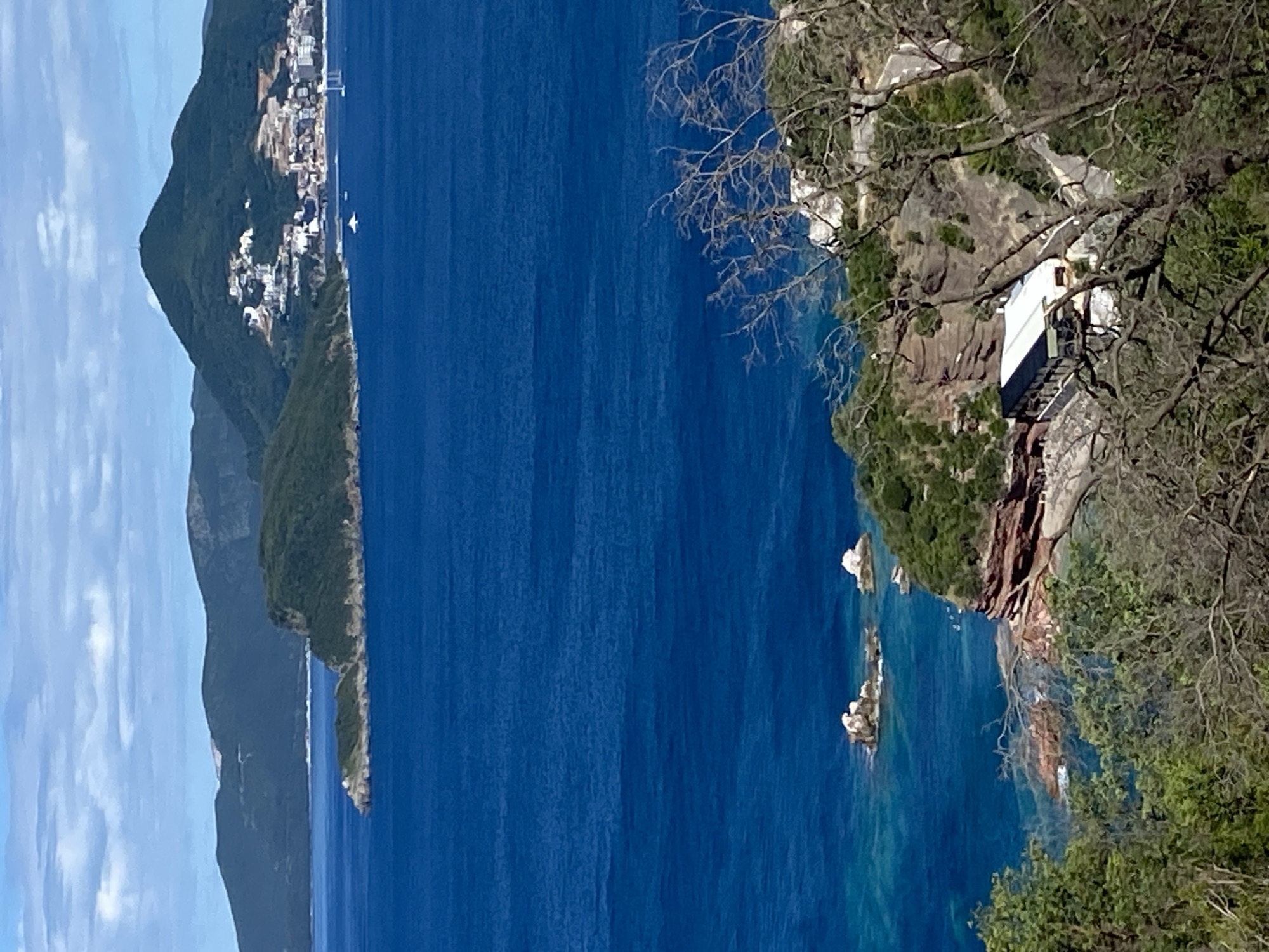 The image captures a scenic view of the Budva coastline in Montenegro. In the foreground, a cliffside is covered with green vegetation and bare tree branches. A modern building with a white roof and dark accents is nestled into the cliff. The middle ground features the clear blue Adriatic Sea with rocky outcrops jutting out of the water. In the distance, a peninsula covered in lush green trees extends into the sea, with a small white lighthouse visible on its tip. Beyond the peninsula, the city of Budva is visible, with white buildings cascading down a hillside towards the sea, topped by a prominent mountain peak with a visible structure at its summit. Several boats are dotted on the water. The sky is partly cloudy with a mix of blue sky and white clouds.