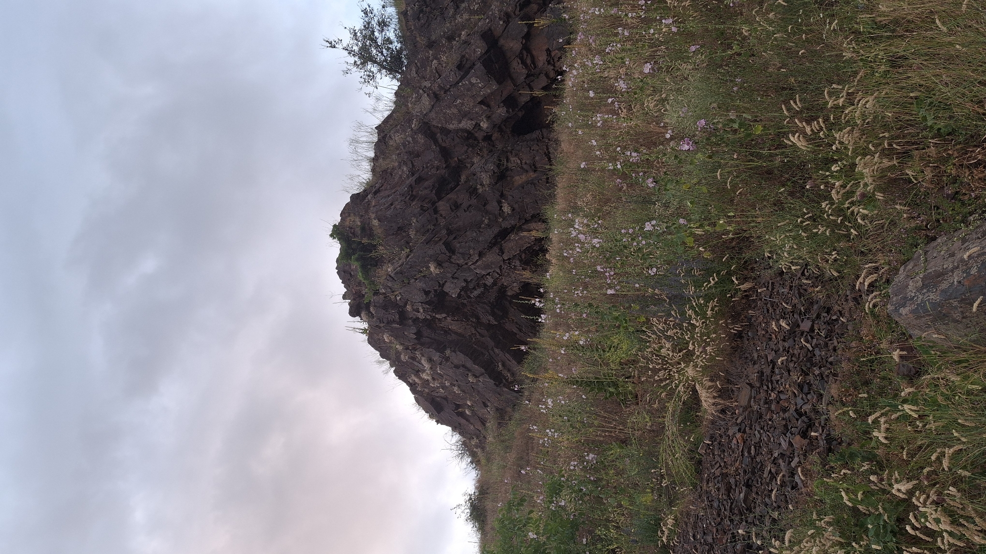 The image shows a rocky outcrop on a hillside covered in vegetation. The rocks are dark and angular, with some appearing to be volcanic in origin. The hillside is covered in a variety of grasses and wildflowers, with some scattered stones and gravel. The sky is overcast, with soft, diffused light. The scene appears to be a natural landscape within an urban or suburban setting, possibly a park or nature reserve. Given the context, this could be a location in Kryvyi Rih, Ukraine, known for its industrial past and its numerous hills and rocky formations, often resulting from mining activities.