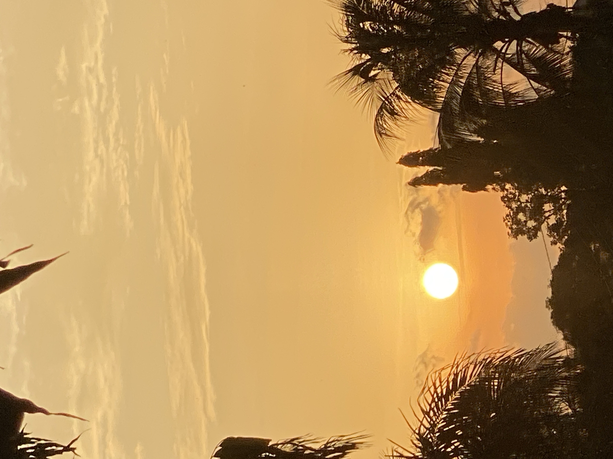 The image depicts a sunset in what appears to be a tropical environment. A bright, circular sun is visible in the center-right of the frame, casting a warm, orange glow across the sky. The sky itself is a gradient of yellow and orange, with thin, wispy clouds visible on the left side of the image. Silhouetted palm trees and other vegetation frame the scene, obscuring the bottom and right edges. The photograph is taken in a landscape orientation. The location is unknown and can not be verified as the city of Maigizo, Nigeria.