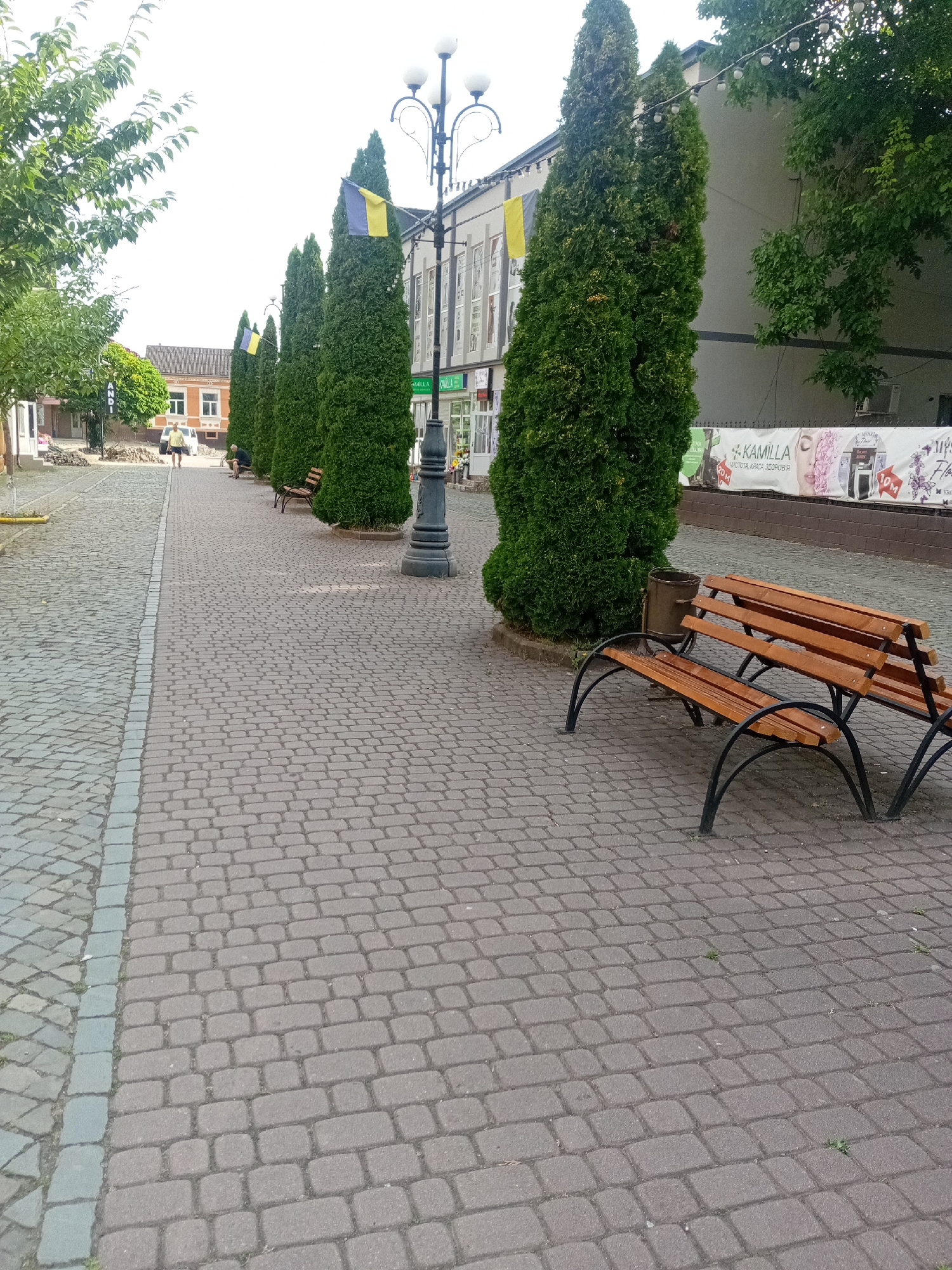 The image shows a pedestrian walkway paved with cobblestones in the city of Tiachiv, Ukraine. The walkway is lined with tall, conical evergreen trees, some of which are adorned with Ukrainian flags. Several wooden benches are placed along the walkway, and a trash can is visible next to one of the benches. In the background, there are buildings, including one with a sign that reads "KAMILLA" and displays images of cosmetic products. A street lamp with multiple globes stands near the center of the frame. A few people are present, with one individual walking in the distance and another sitting on a bench. The overall scene depicts a well-maintained public space within the city.