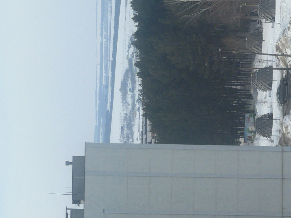 An elevated, distant view depicts a winter landscape in Yelabuga, Russia, under an overcast, light grey sky. In the immediate foreground, to the left, is the unadorned, light grey, panelized facade of a multi-story building, extending vertically through the left third of the frame. Its rooftop features several rectangular structures, likely mechanical units, and a slender antenna.
The mid-ground is dominated by a dense, dark green coniferous forest stretching horizontally across the scene. Below the tree line, a snow-covered area reveals several distinct, dome-shaped structures with textured, scale-like surfaces, resembling small shelters or gazebos. A dark-colored sedan is parked on a snow-bordered asphalt surface in the lower center. Further back, partially obscured by snow and foreground elements, a light-colored bus or large vehicle with colorful, graphic illustrations is visible near the edge of the forest.
Beyond the mid-ground forest, the background comprises a vast, snow-covered panorama extending to the horizon. This distant landscape is marked by flat, white fields, interspersed with faint clusters of dark trees or vegetation and scattered, indistinct buildings, suggesting a rural or suburban periphery. No individuals are discernible within the frame.