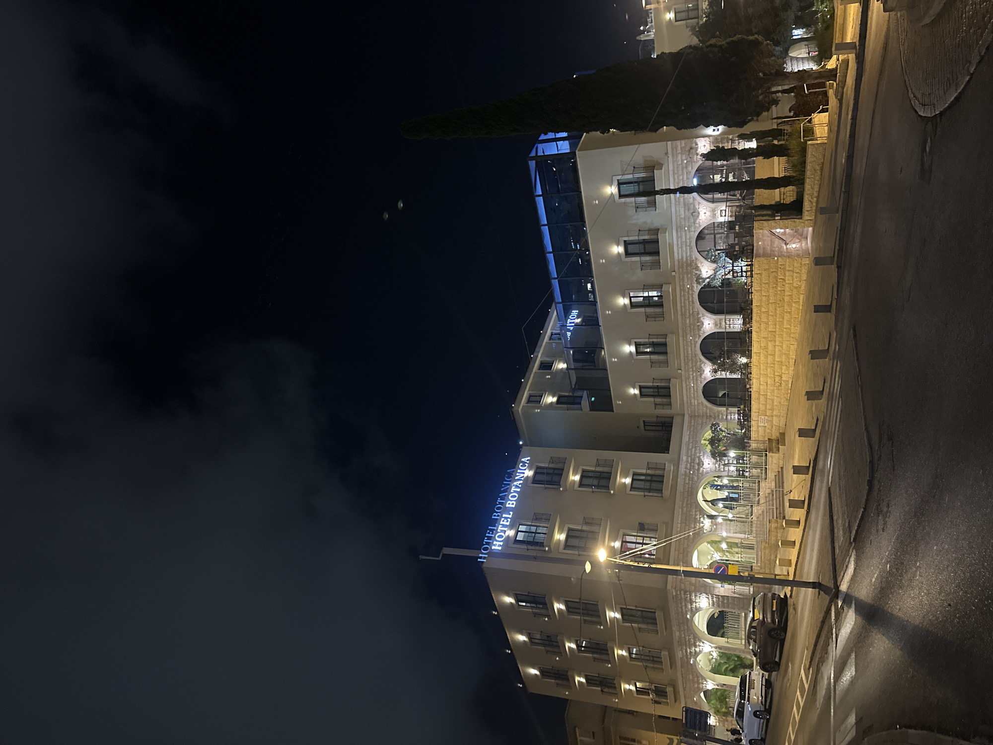 The image depicts the Hotel Botanica in Haifa, Israel at night. The hotel is a multi-story building with illuminated windows and signage that reads "HOTEL BOTANICA". The building has arched entrances on the ground floor and balconies on the upper floors. A tall, slender tree stands to the right of the hotel. In the foreground, a street is visible with cars parked and driving on it. The sky is dark with some clouds. The scene is lit by artificial lights from the hotel, streetlights, and vehicle headlights, creating shadows on the street and building.