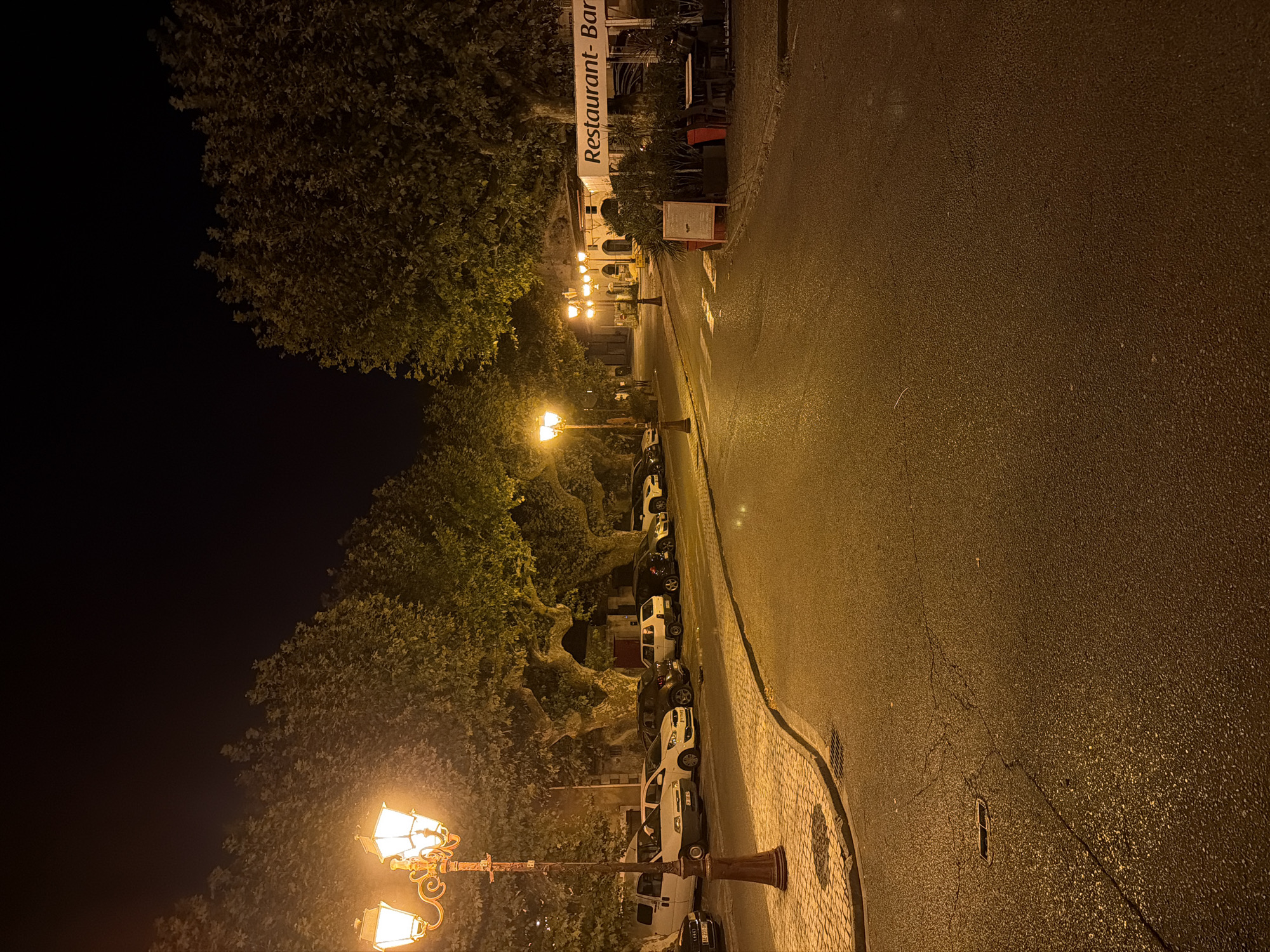 A street scene in Viviers, France, at night. A vintage lamppost with three illuminated globes stands on the left side of the image, casting a warm glow on the cobblestone sidewalk. Several cars are parked along the street, illuminated by streetlights and the ambient light from nearby buildings. The road surface is wet, reflecting the lights. Trees with dense foliage line the street. On the right side of the image, a building with a sign that reads "Restaurant - Bar" is visible. The establishment appears to be open, with outdoor seating areas. The overall atmosphere is quiet and serene.