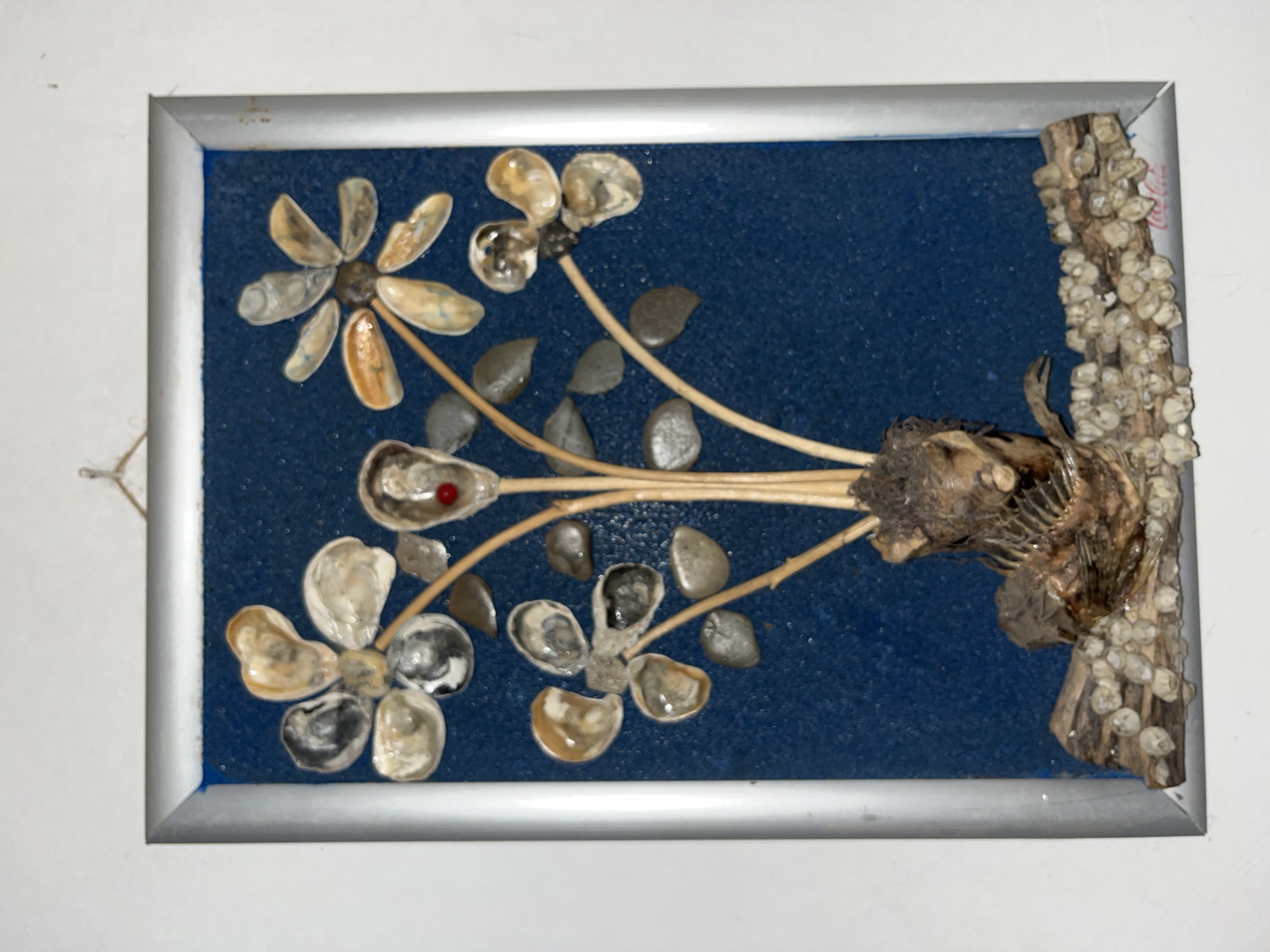 This is a framed piece of art made from seashells and driftwood, displayed against a white wall. The artwork features several shell flowers, each with multiple oyster shell petals arranged around a central point. Some of the flowers have small red beads at their centers. The stems of the flowers are made from thin wooden dowels, and they emerge from a base of driftwood and what appears to be part of a fish skeleton or other organic material. The background of the artwork is a textured, deep blue. The frame is metallic silver. At the bottom of the artwork, there is a horizontal piece of driftwood encrusted with small barnacle-like objects. The artwork is hanging from a thin string attached to a hook on the wall. There is a faint red logo visible on the lower right side of the driftwood at the bottom, which appears to be a Coca-Cola logo. The specific location in the city of Obzor, Bulgaria, cannot be determined from the image alone; it is a general interior shot of a displayed artwork.